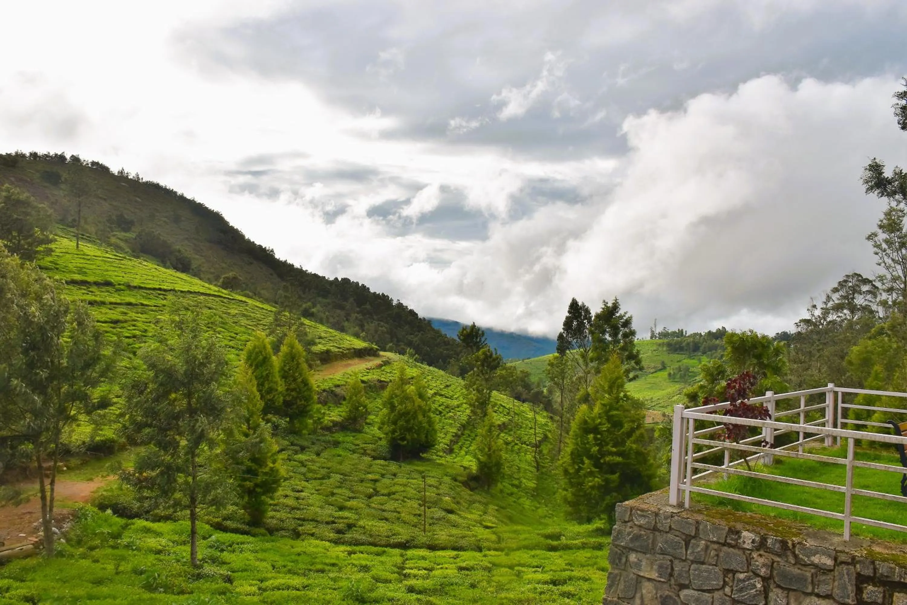 View (from property/room) in Green Nest Resort Ooty