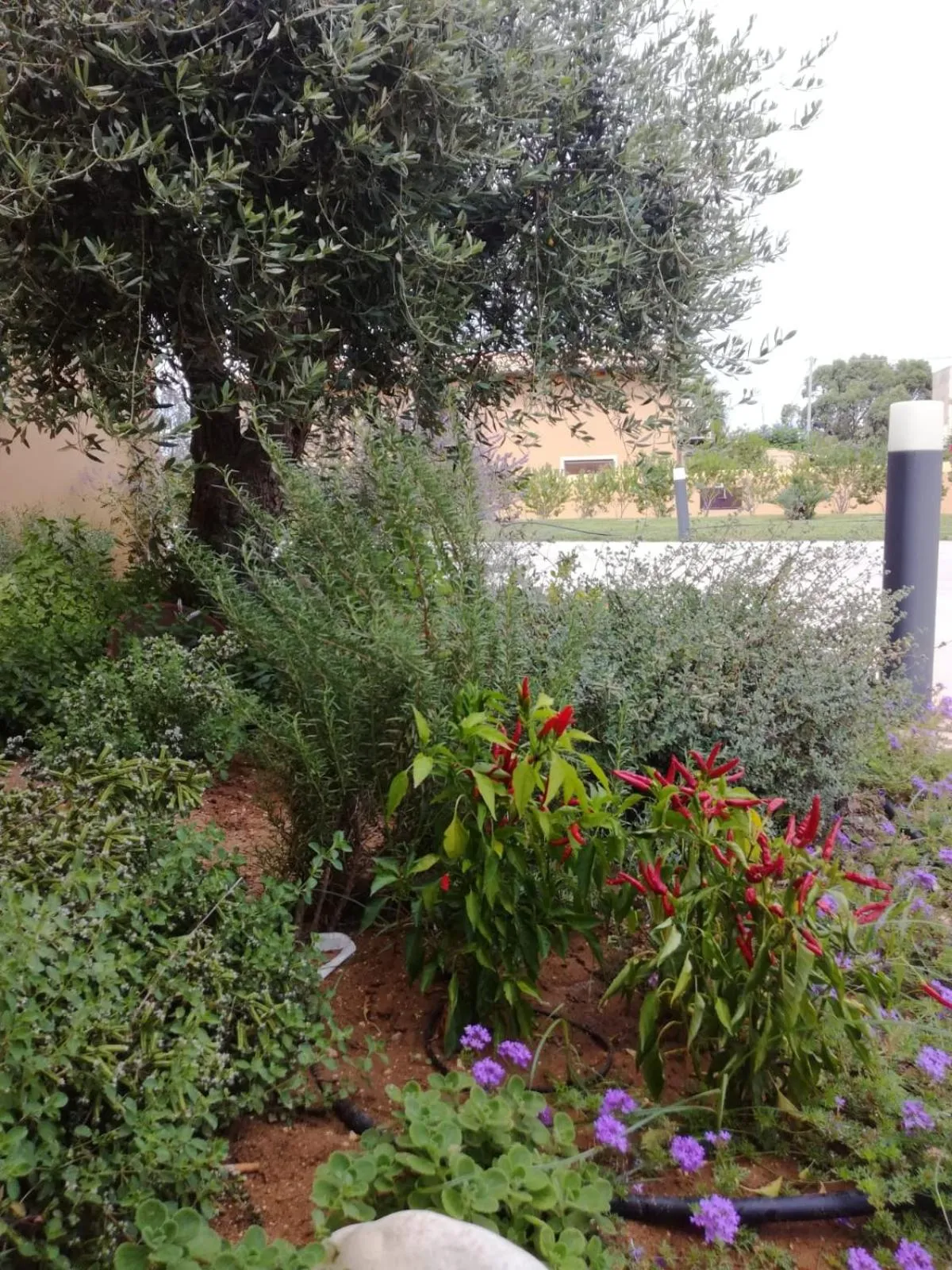 Day in Hotel Donna Carmela Sede Unica a Sciacca