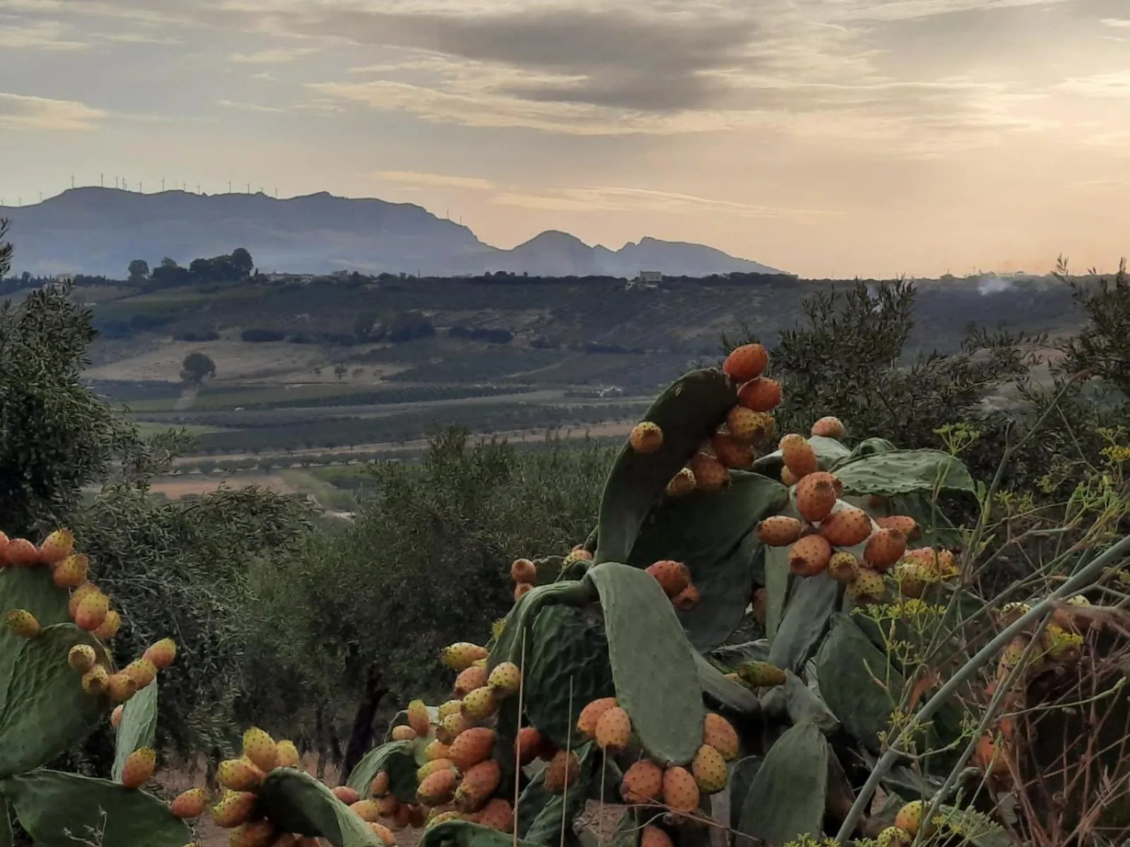 Hotel Donna Carmela Sede Unica a Sciacca