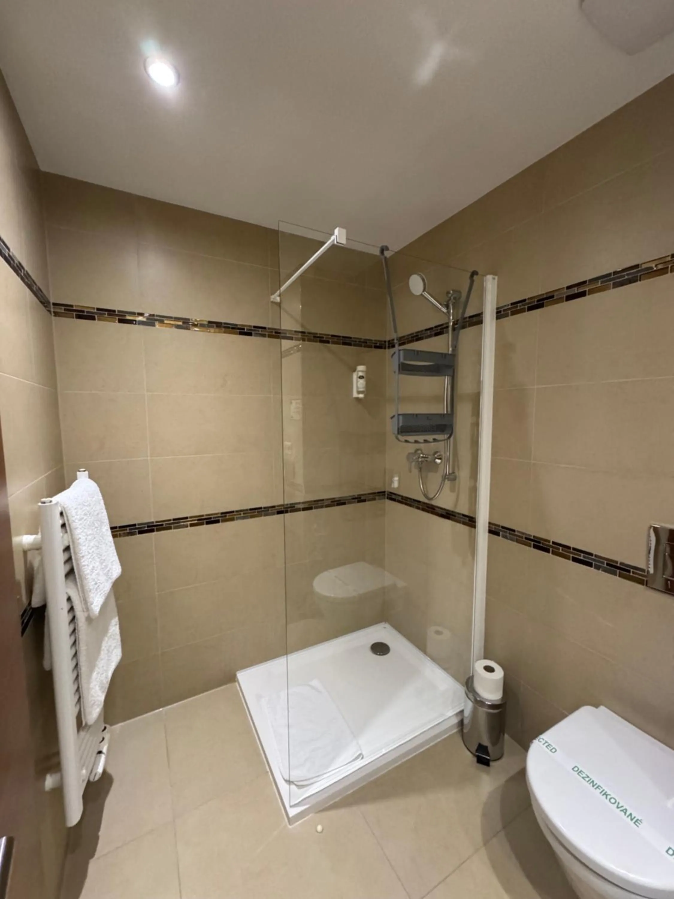 Bathroom in Wellness Hotel Panorama