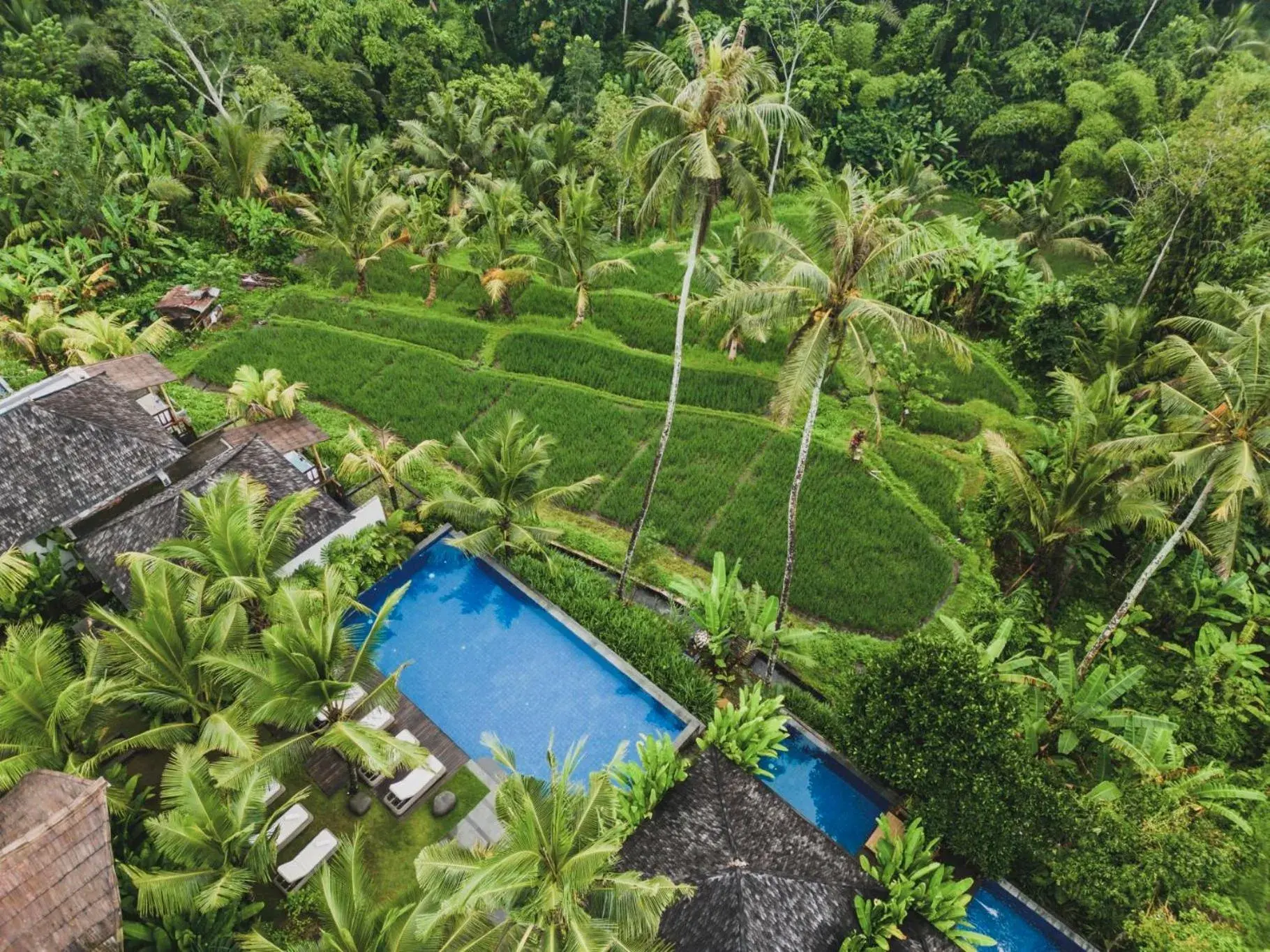 Maar Resort & Spa Ubud by Ini Vie Hospitality Maar Resort & Spa Ubud by Ini Vie Hospitality