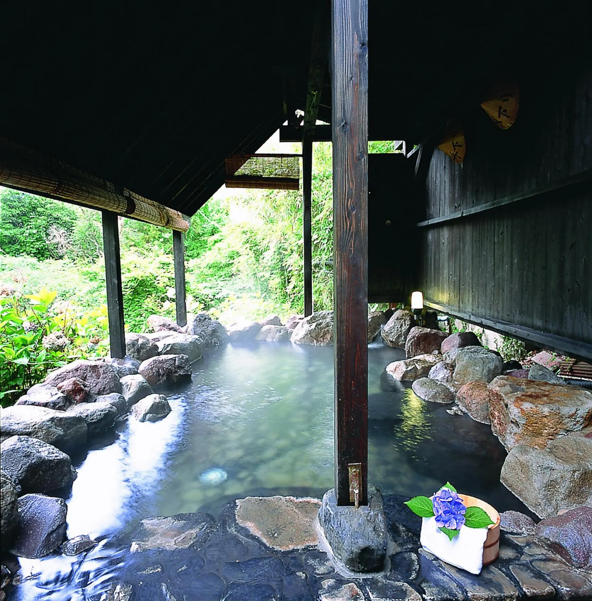 Hot Spring Bath in Shinshiyo
