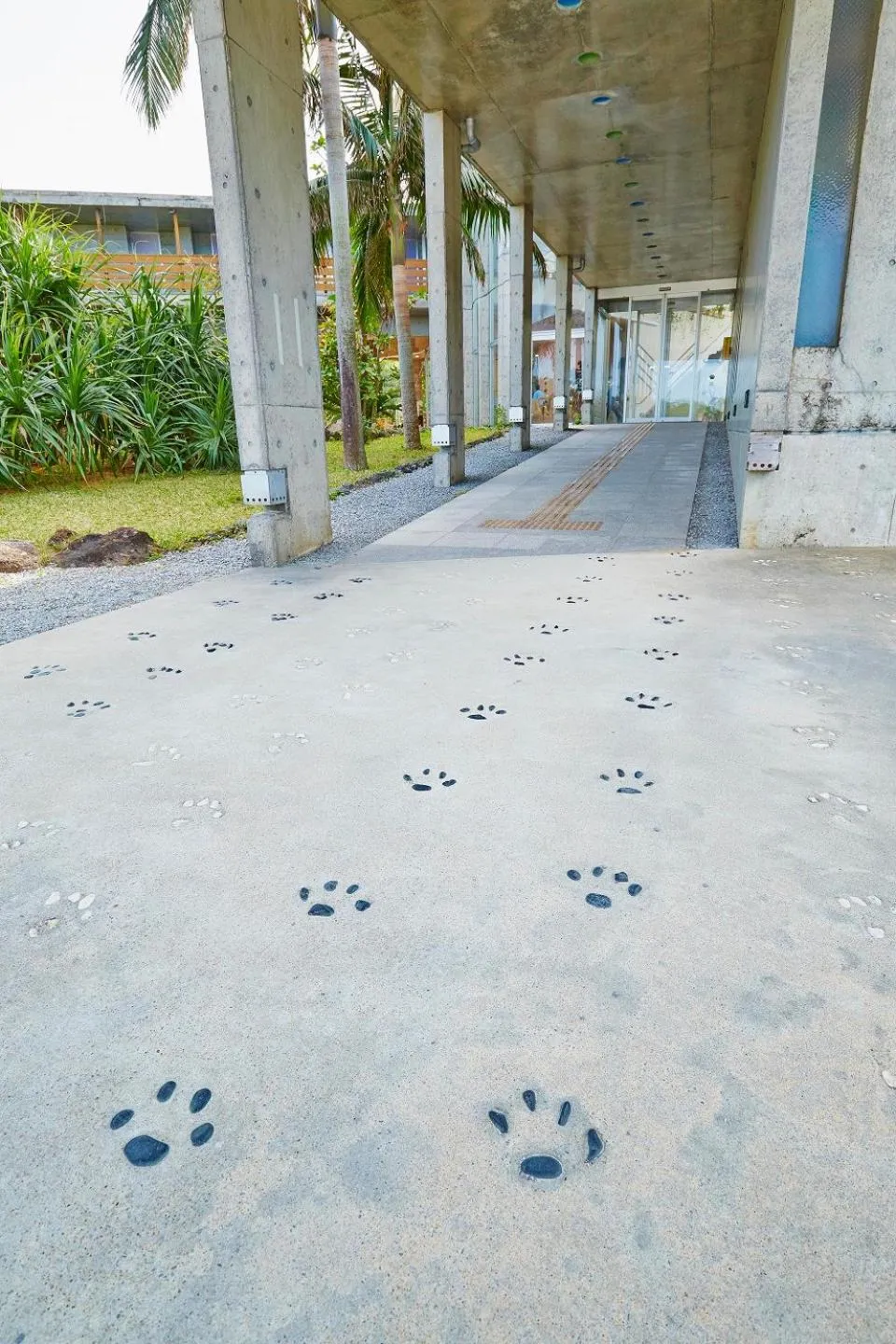 Property building in Iriomotejima-Jungle Hotel Painumaya