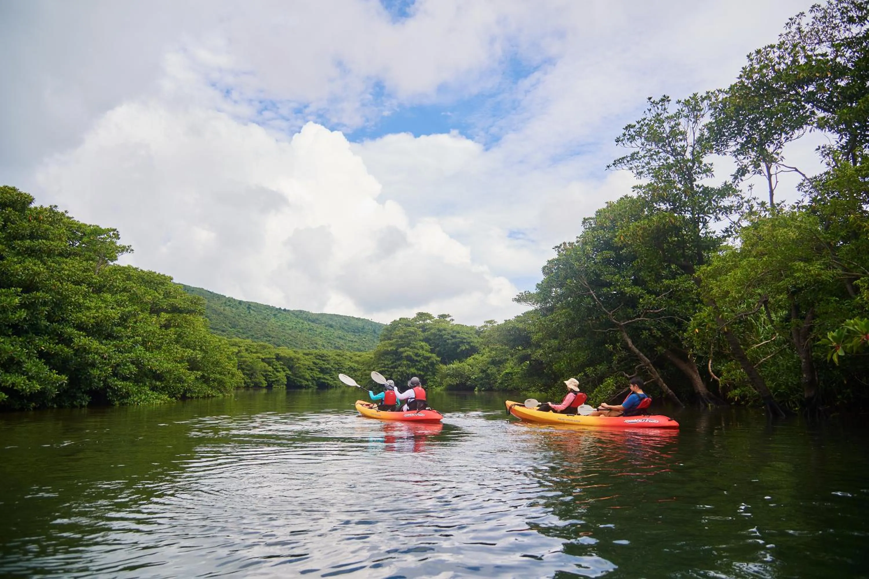 Canoeing in Iriomotejima-Jungle Hotel Painumaya