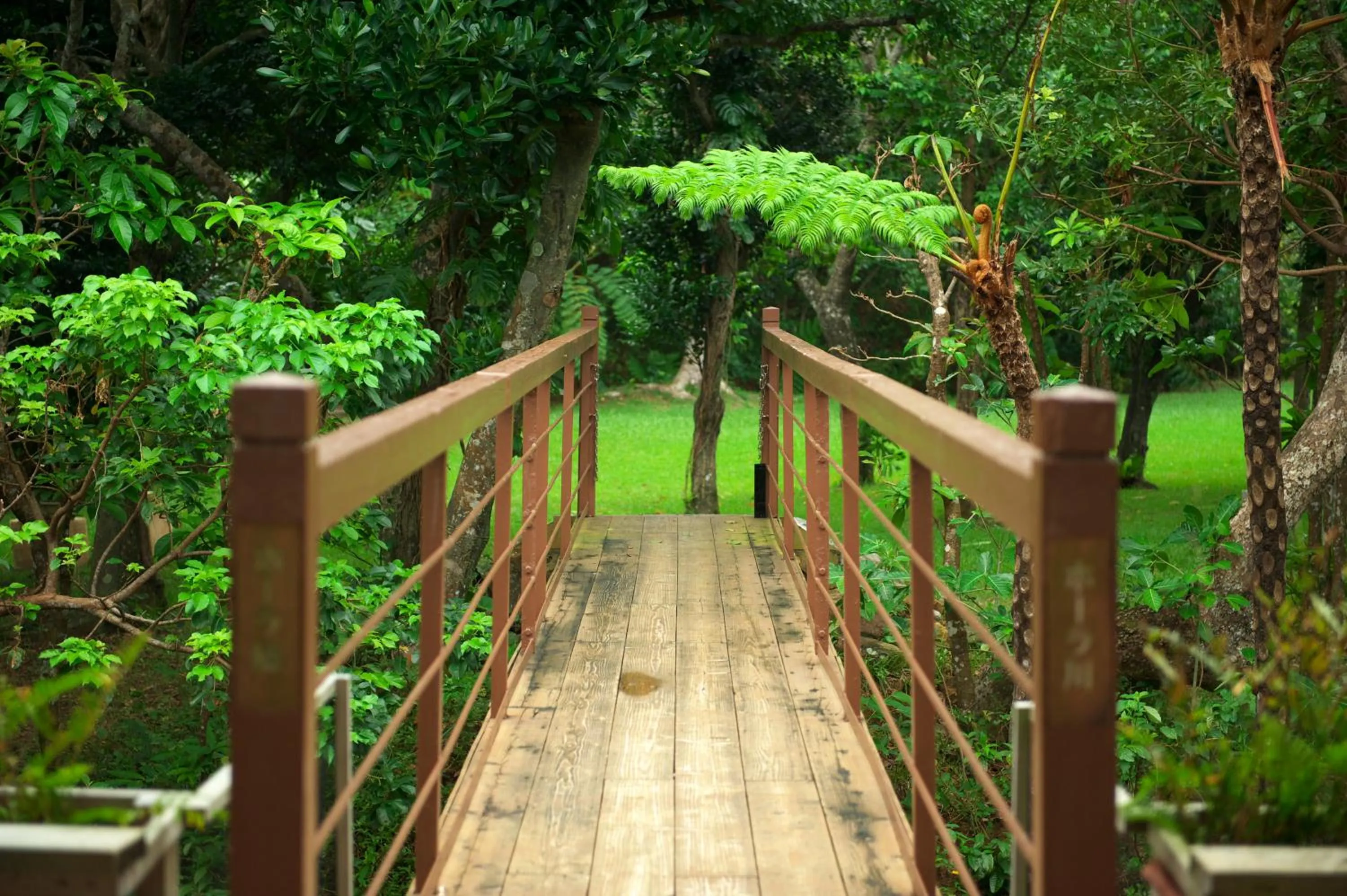 On site in Iriomotejima-Jungle Hotel Painumaya