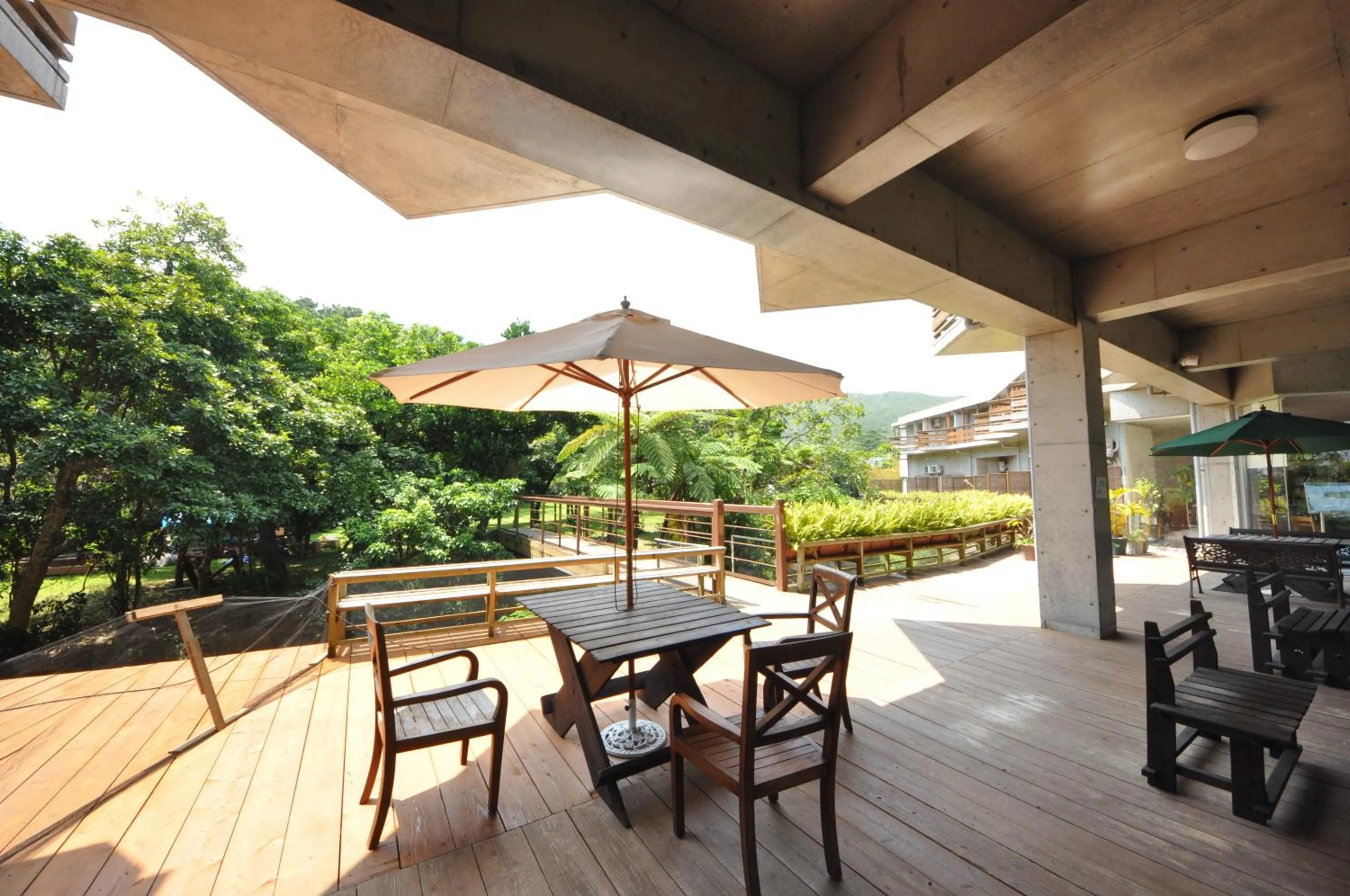 On site in Iriomotejima-Jungle Hotel Painumaya