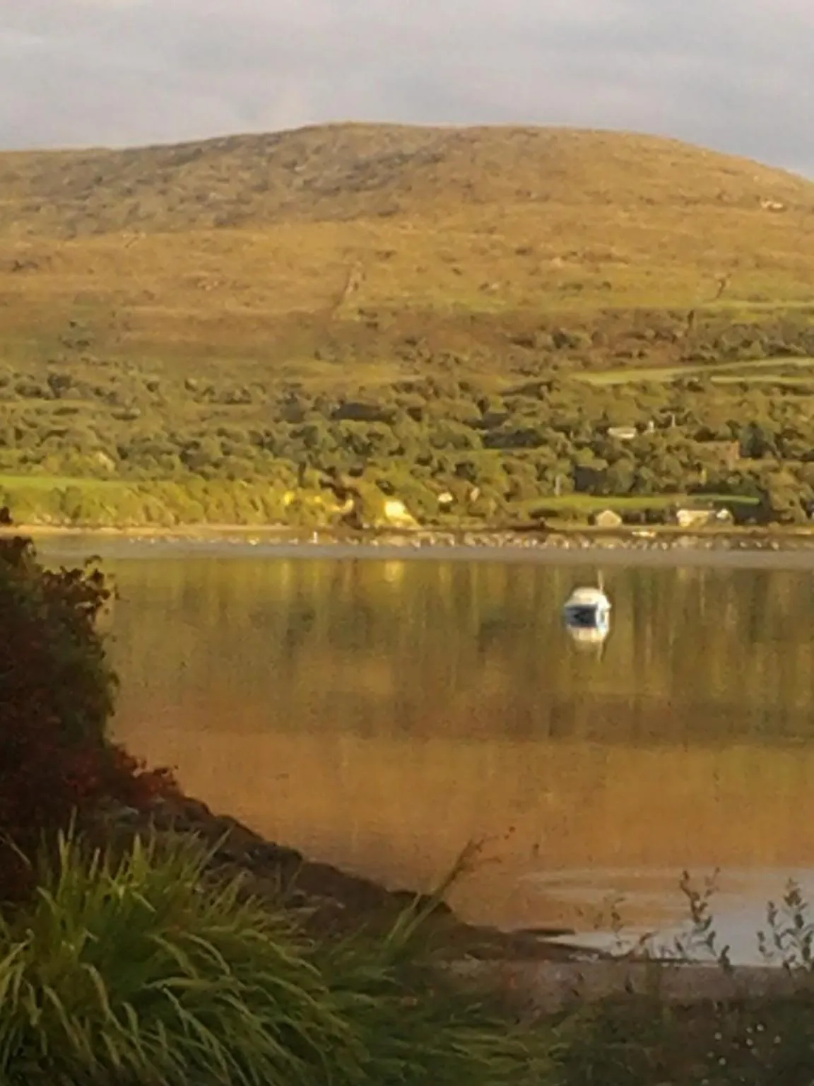 Natural landscape in Sea Lodge B&B