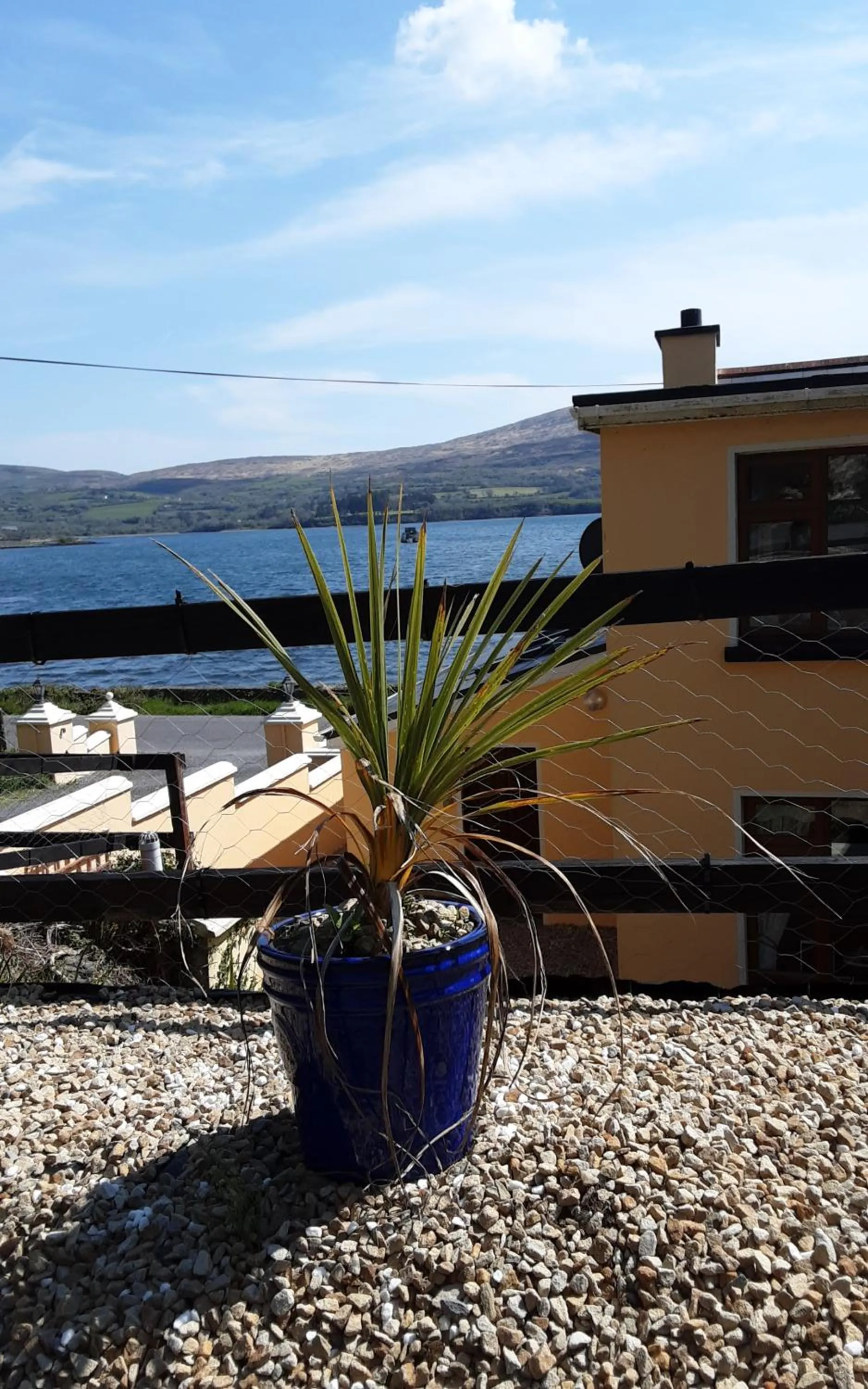 Patio in Sea Lodge B&B