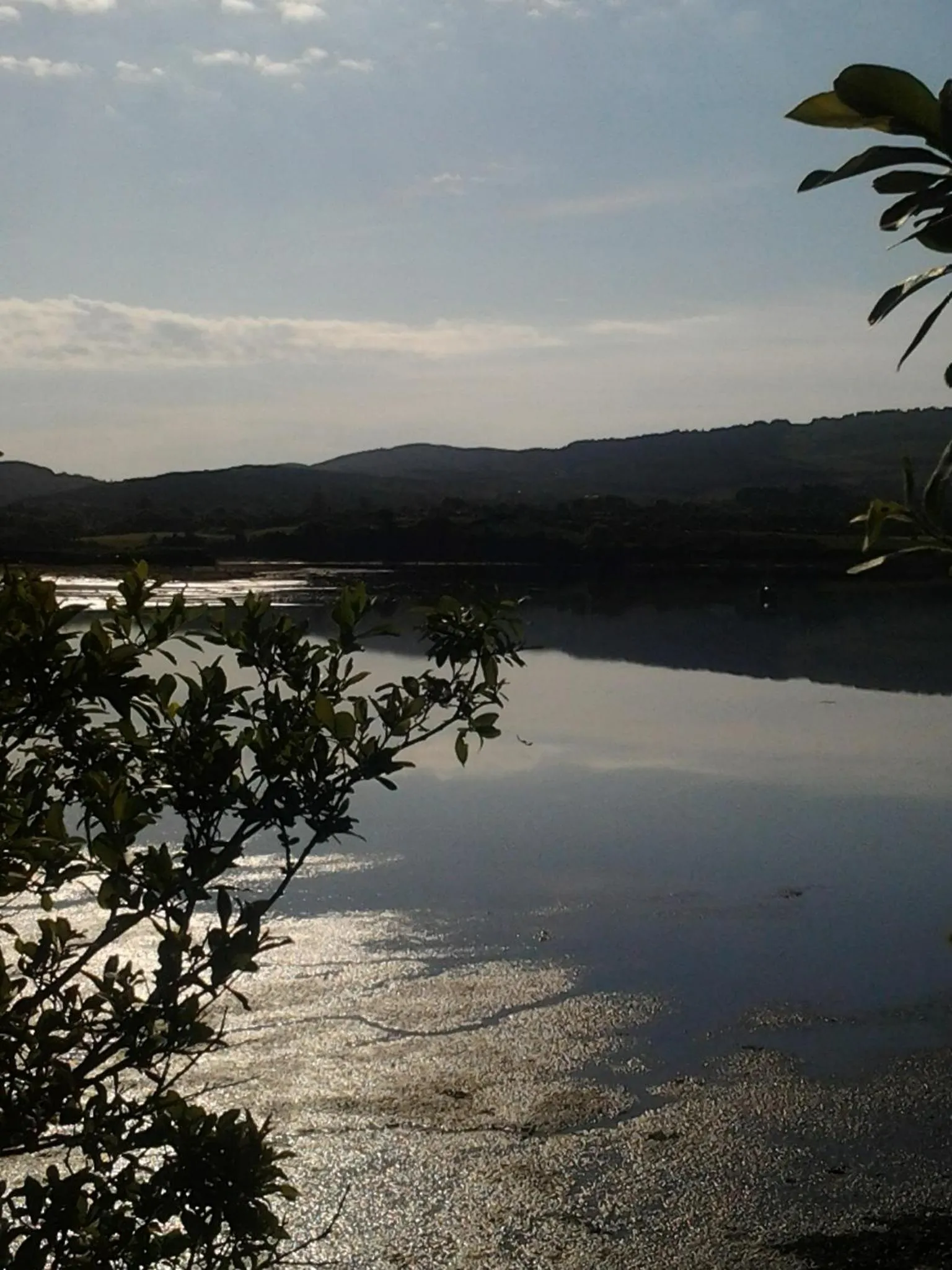 Natural landscape in Sea Lodge B&B