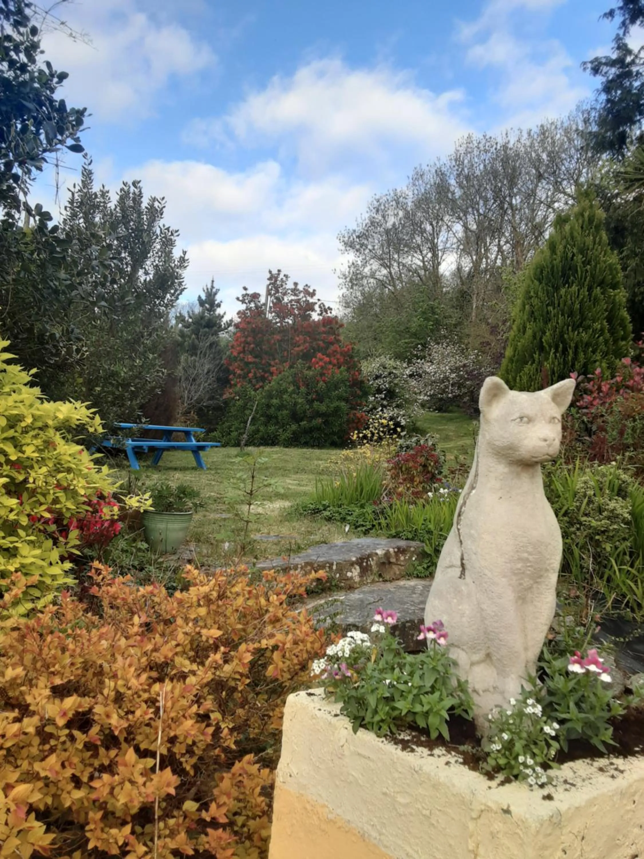 Garden in Sea Lodge B&B