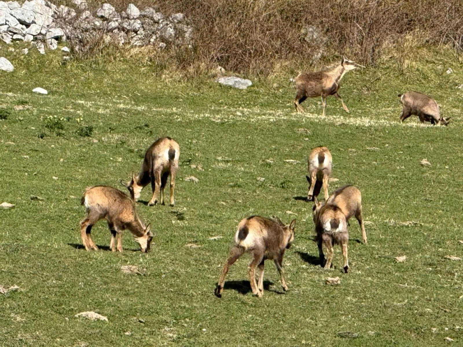 Spring in Apartamentos El Caxigu