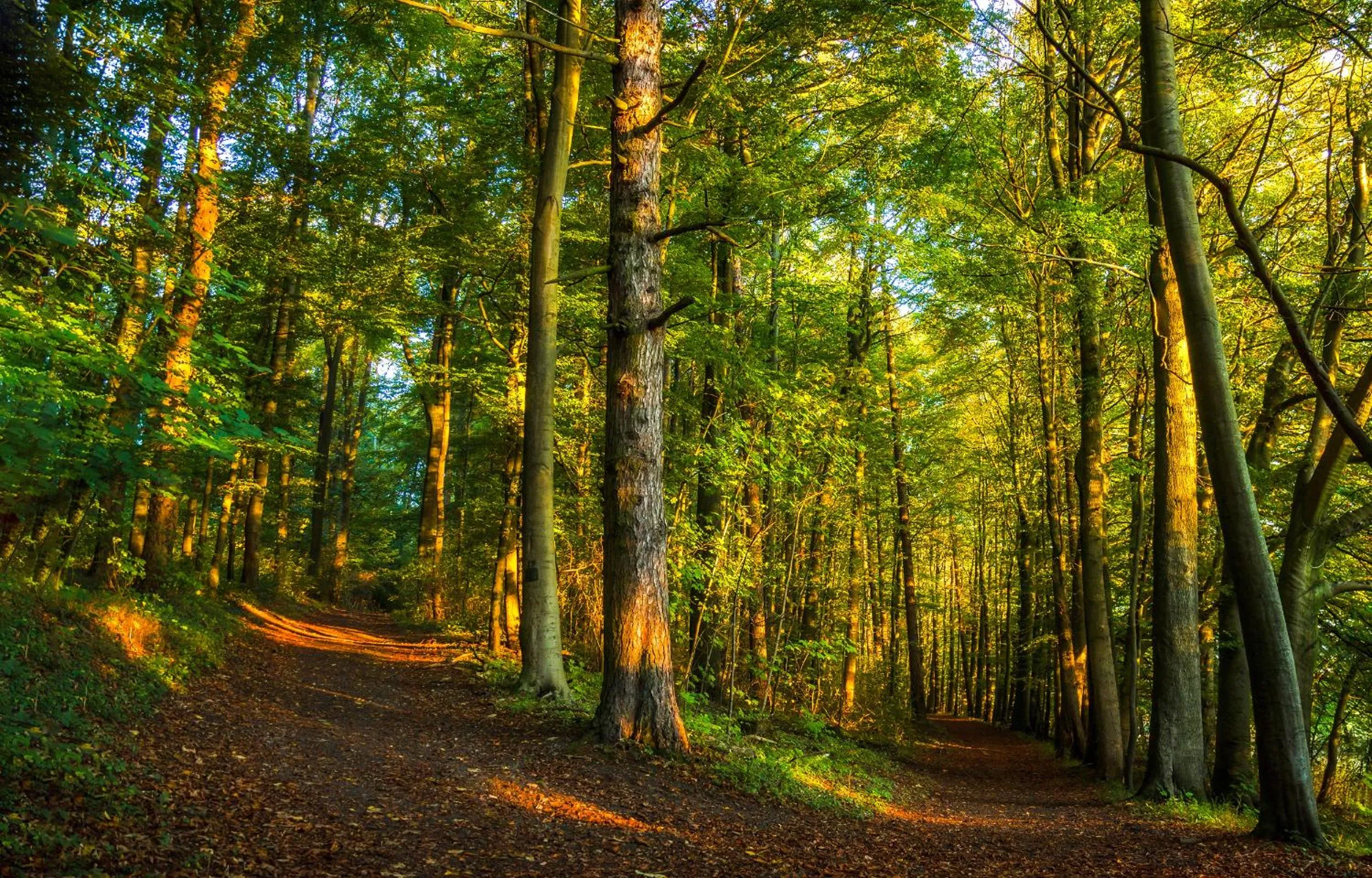 Nearby landmark in REGIOHOTEL Am Nicolaiplatz Wernigerode - #Ferienwohnungen #FrischRenoviert #Kaffeevollautomat #Bestlage