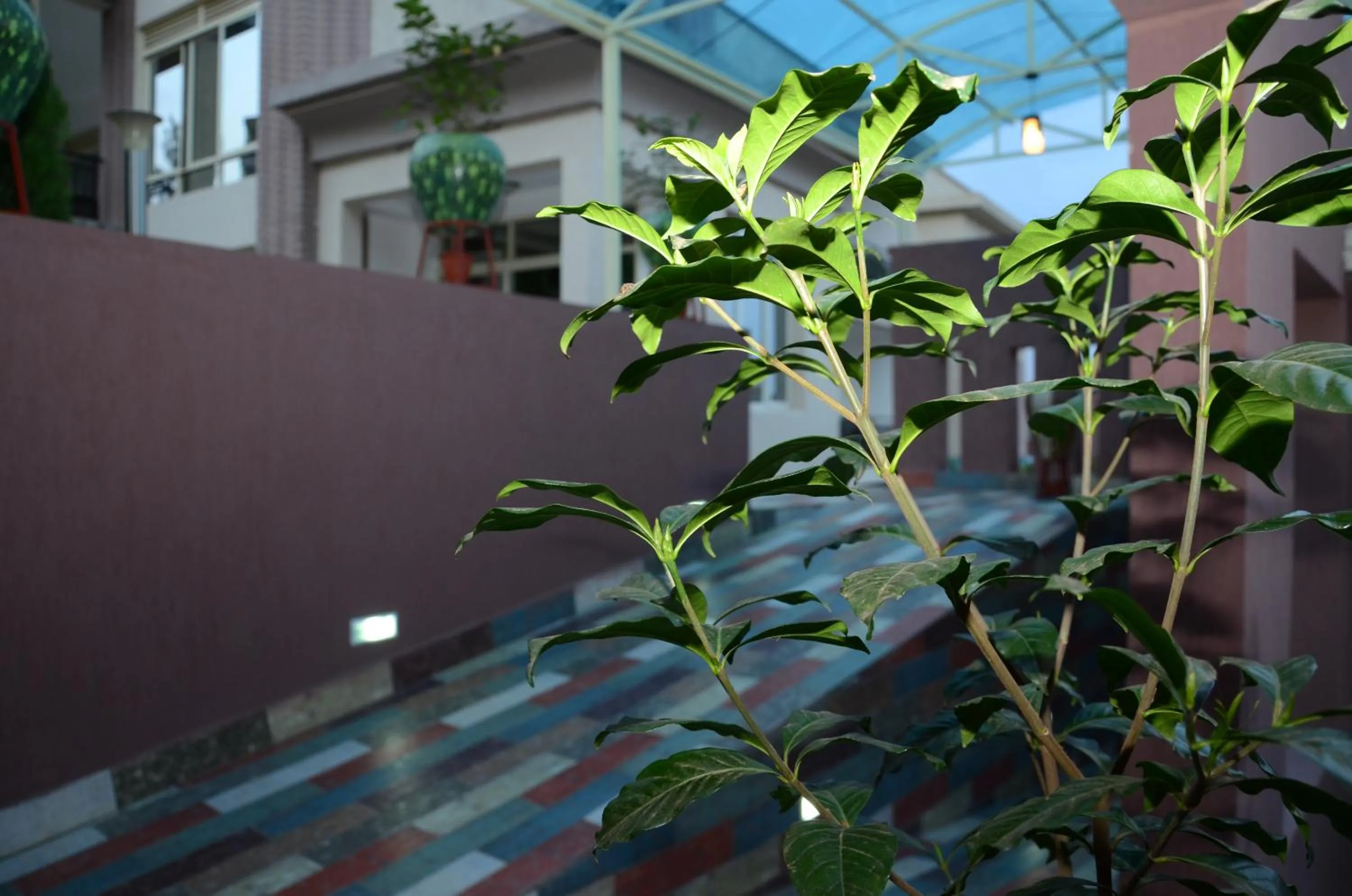 Property building in Grazia Apartment Hotel