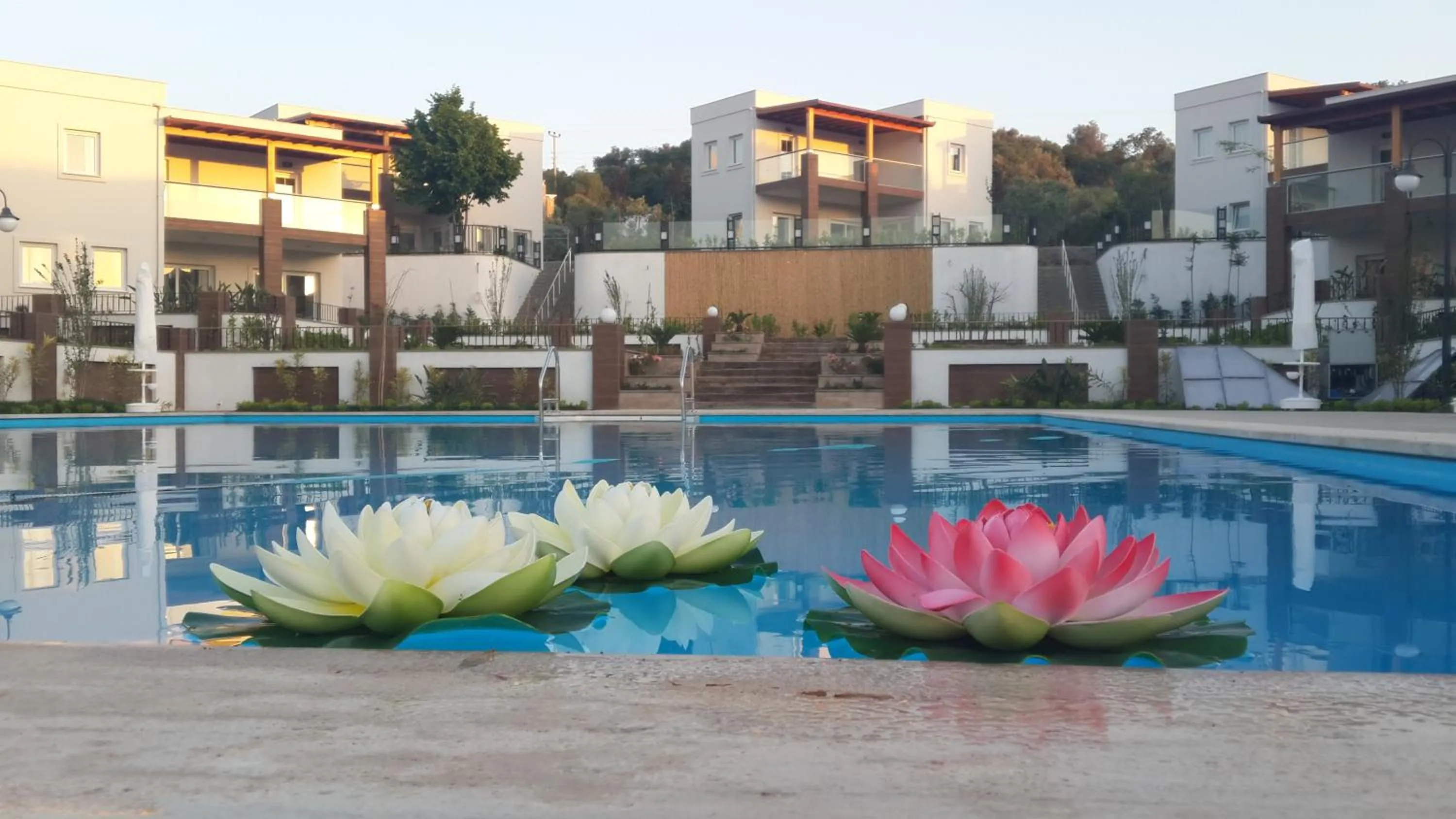 Swimming pool in Dibek Homes Villa & Hotel