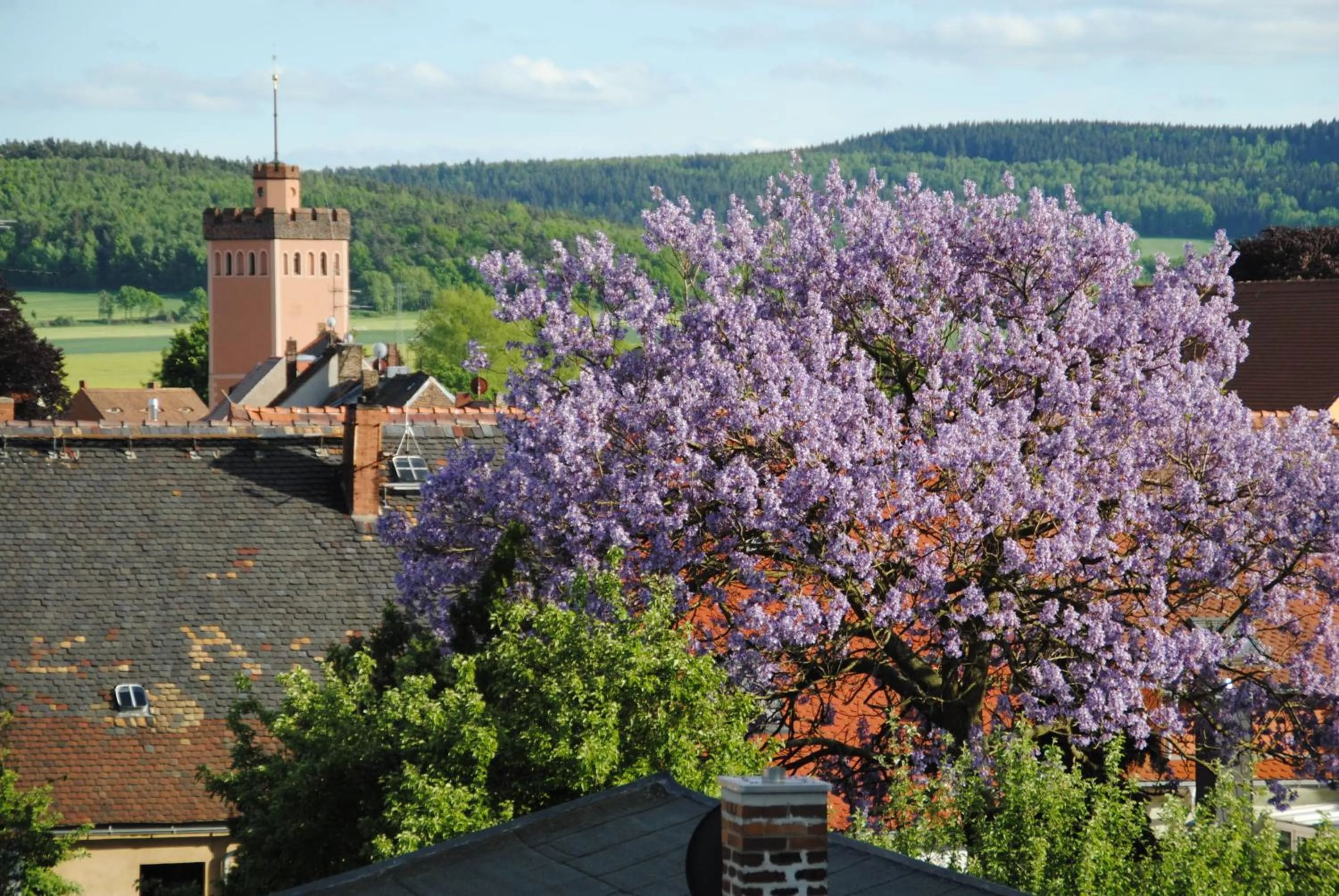 Nearby landmark in Flair Hotel Kamenz