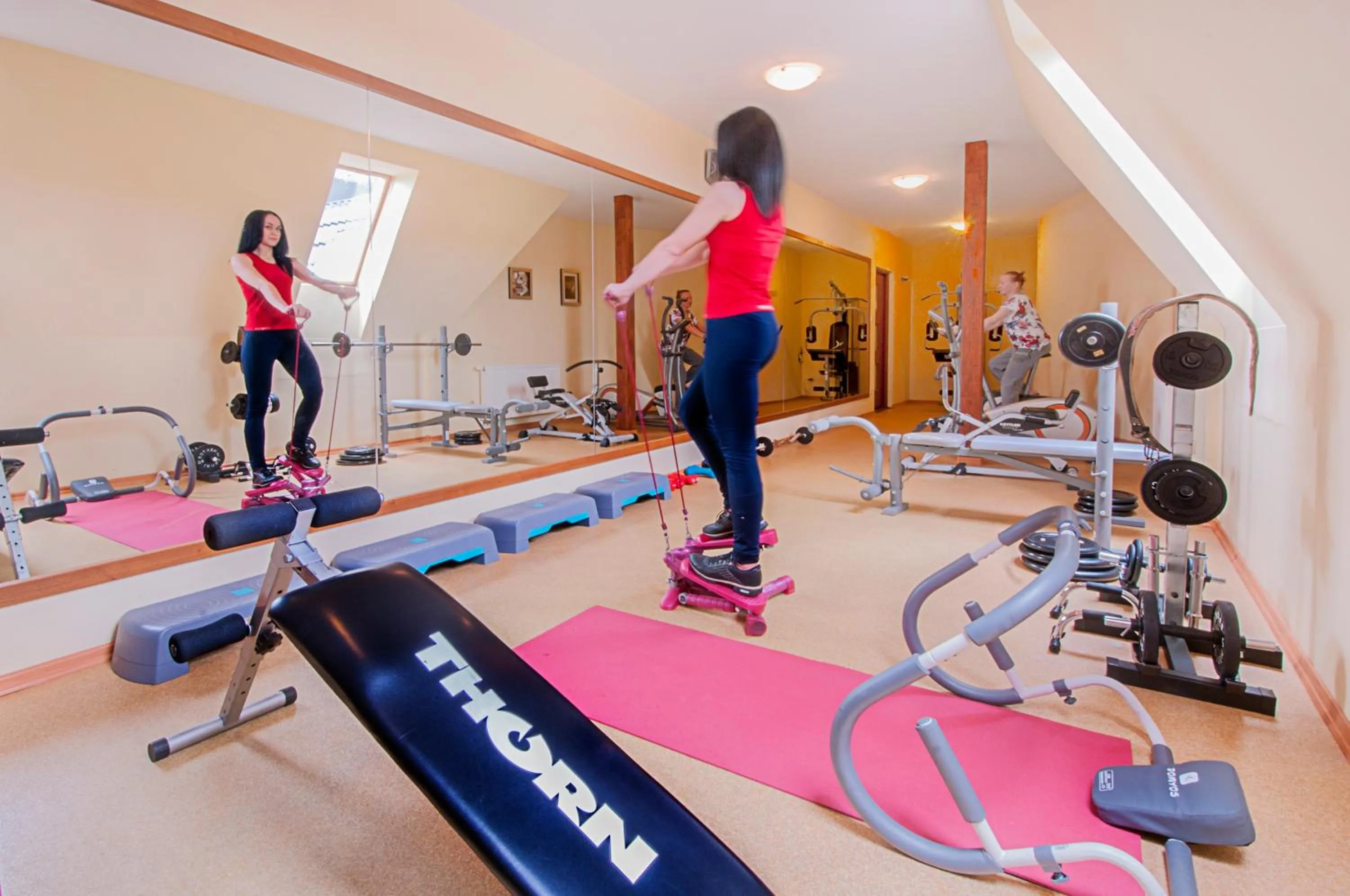 Fitness centre/facilities in Villa Dolce Vita
