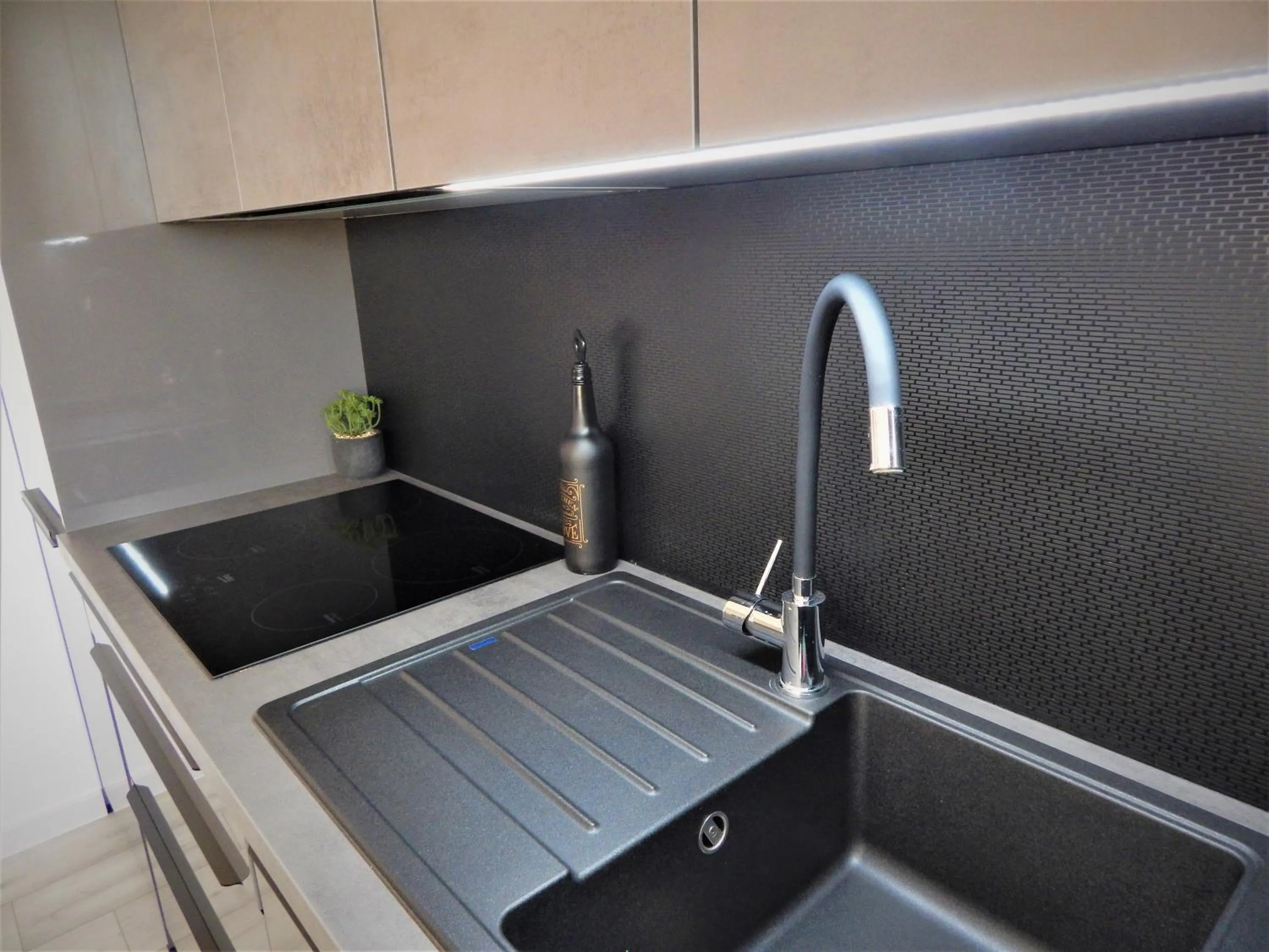 Kitchen or kitchenette in Apartments CVITA Holiday