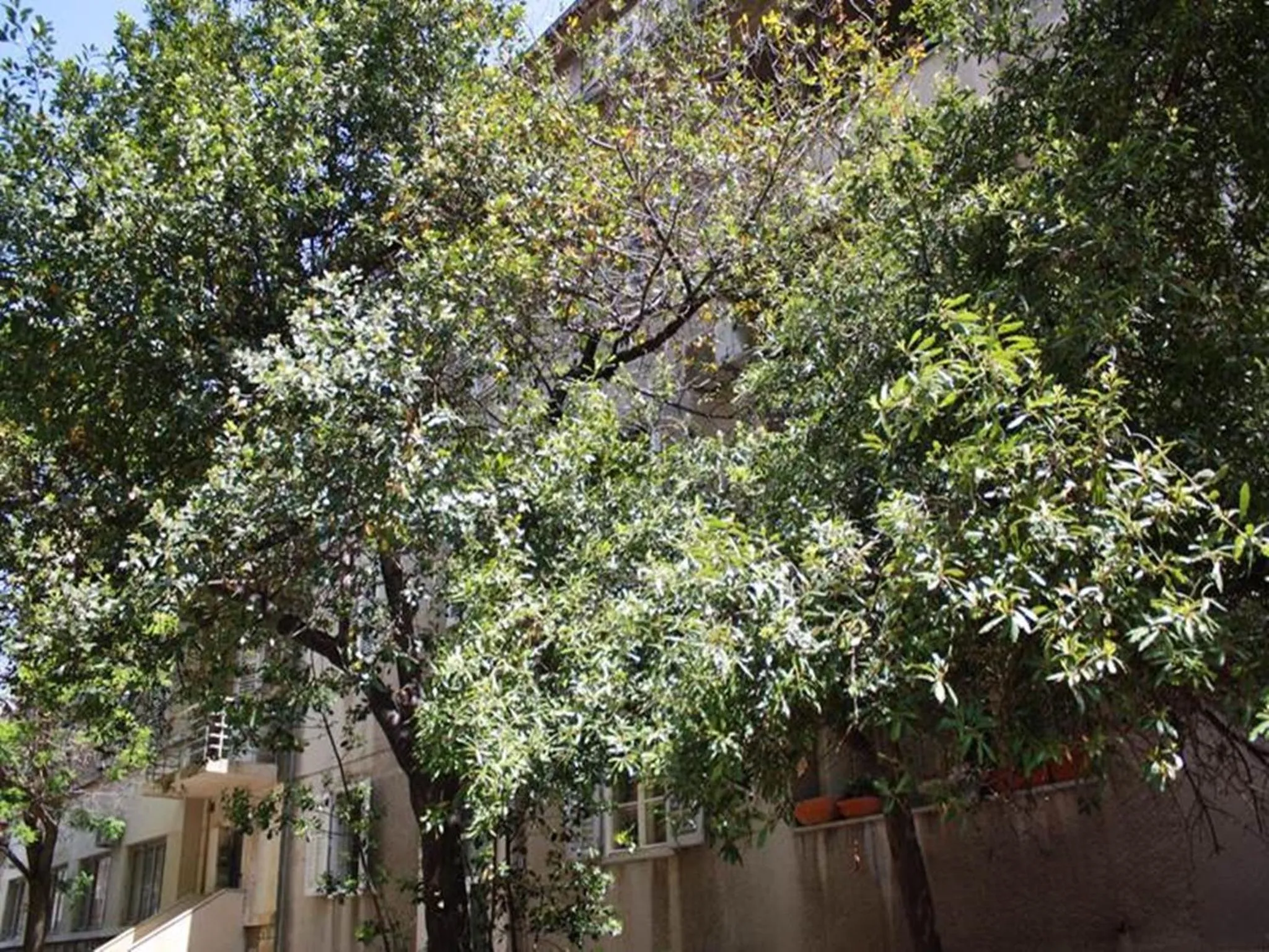 Facade/entrance in Klarina Apartments