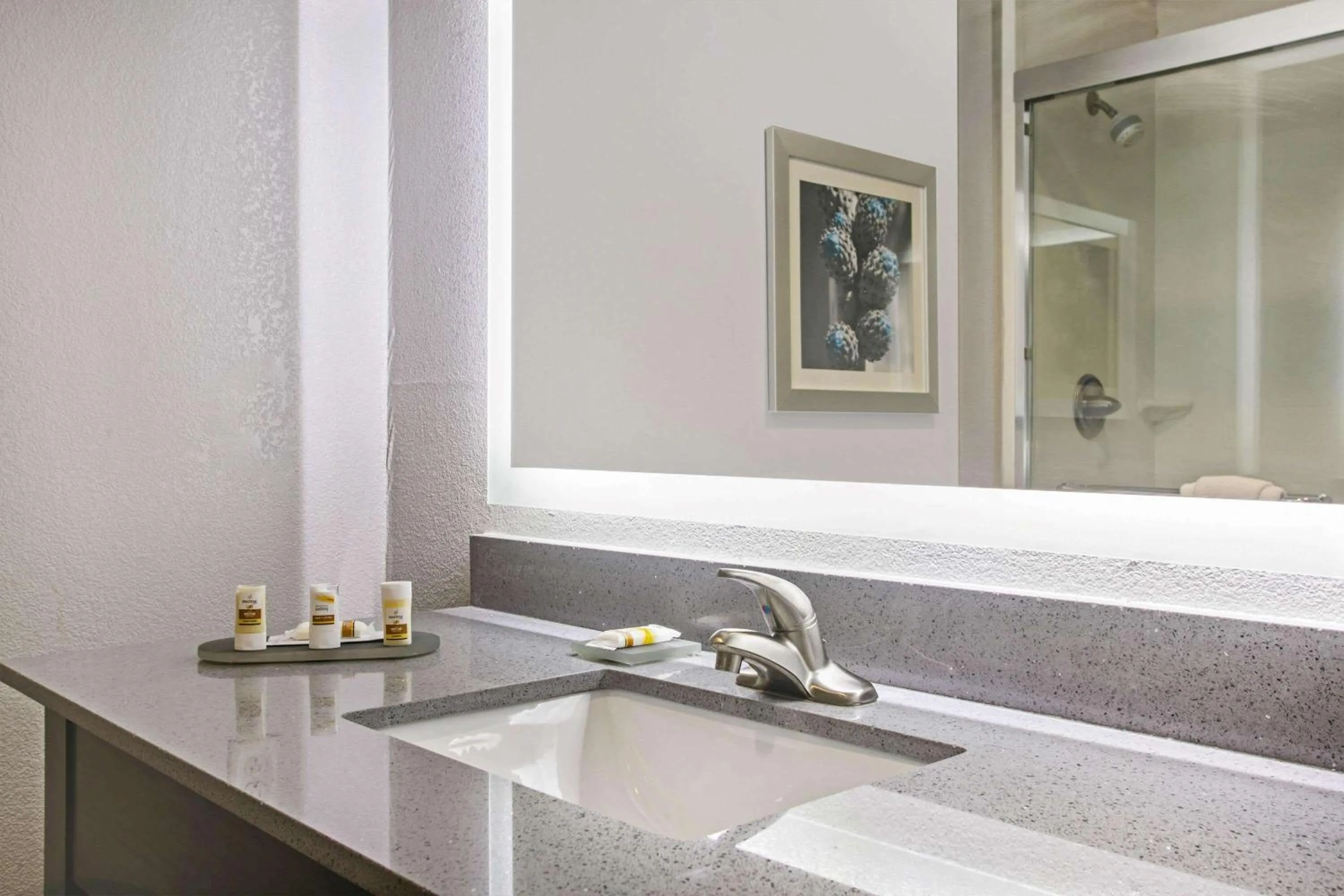 Bathroom in La Quinta by Wyndham Victoria - South