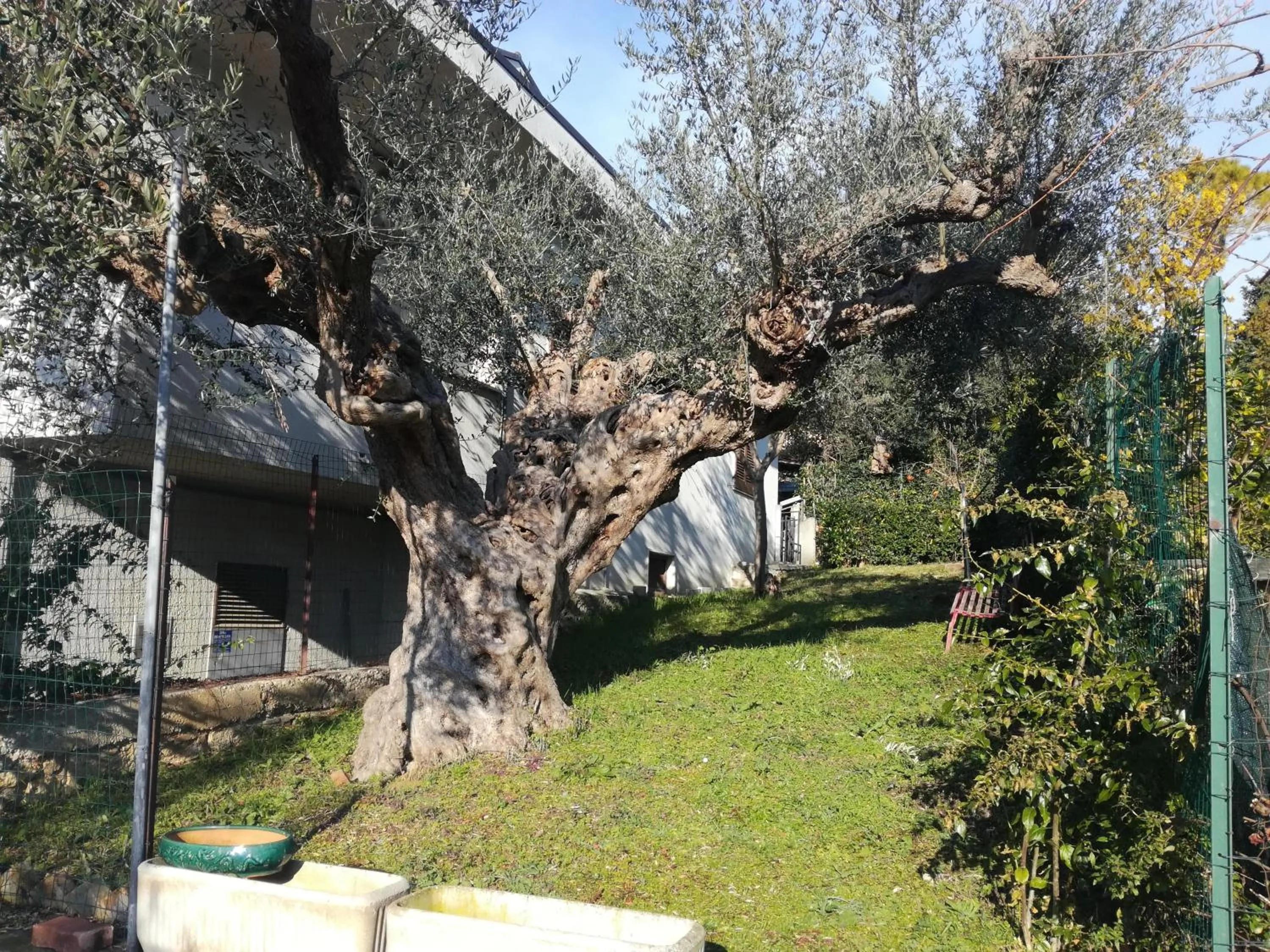 Natural landscape in Le sorelle gemelle B&B