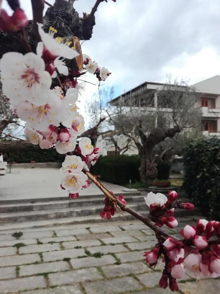 Garden in Le sorelle gemelle B&B