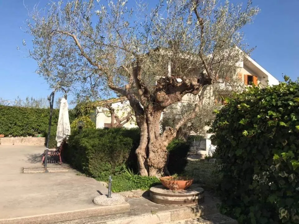 Garden in Le sorelle gemelle B&B