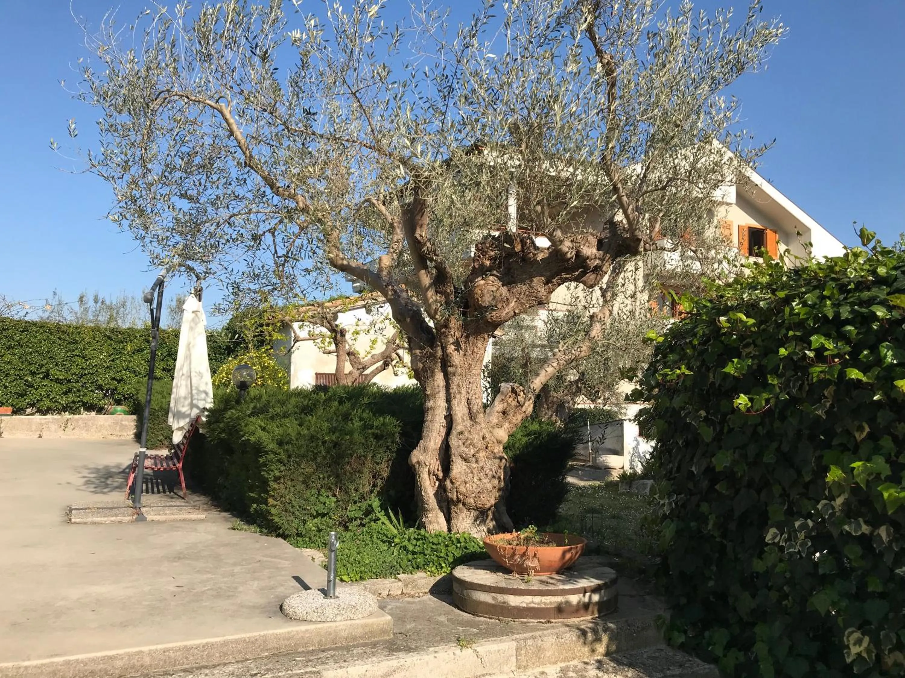 Garden in Le sorelle gemelle B&B