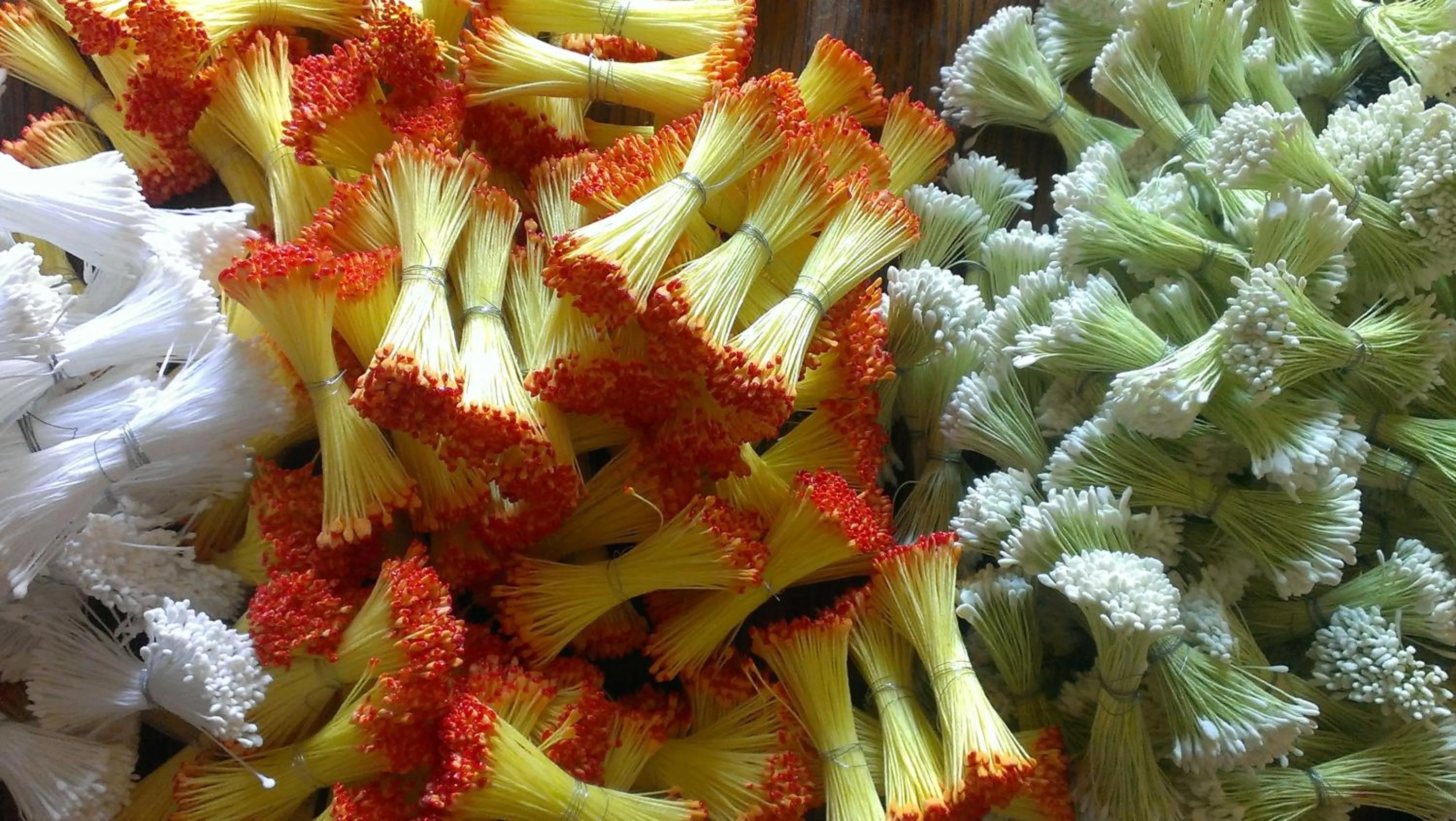 Activities in Moulin de la Fleuristerie