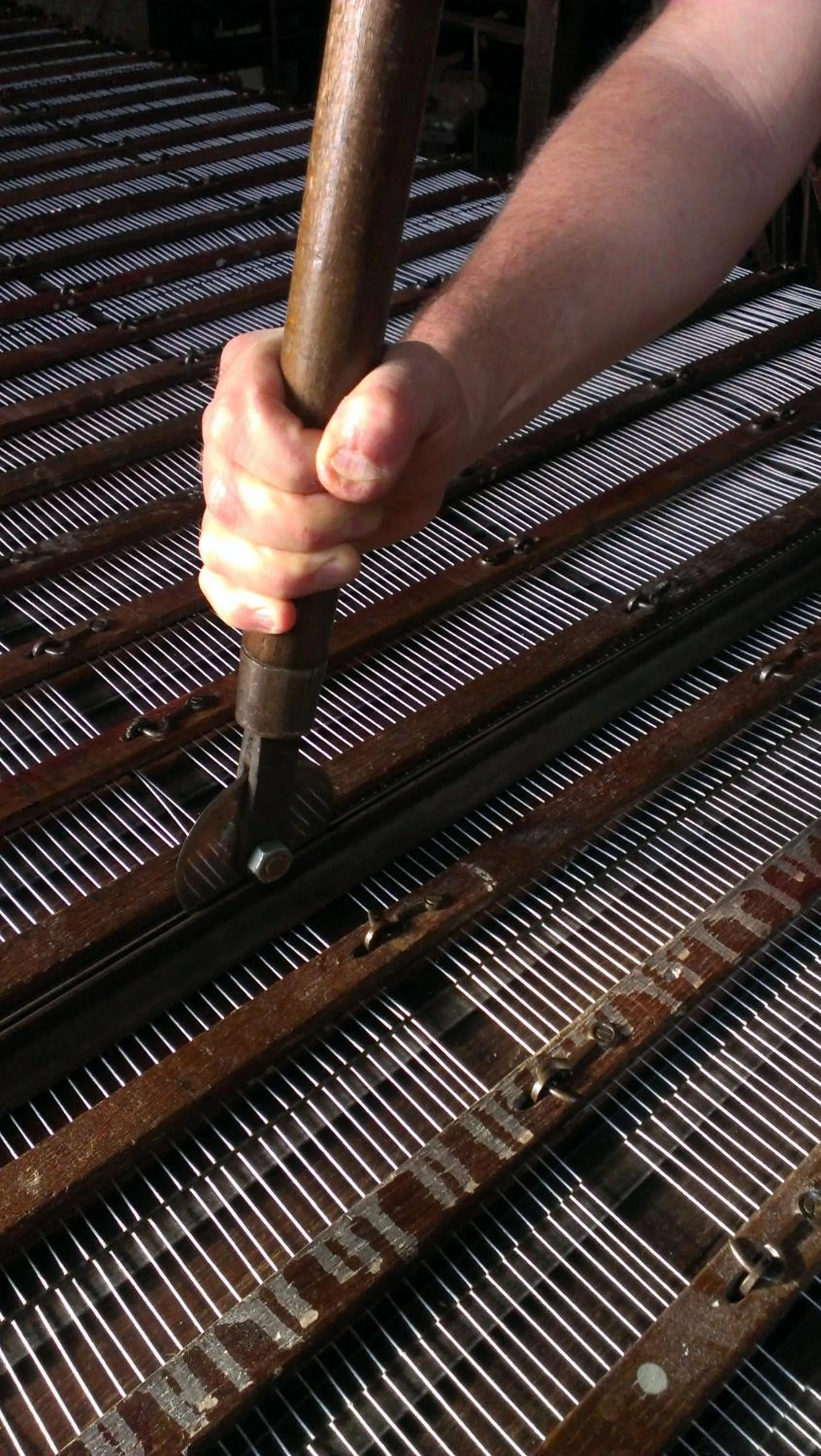 Activities in Moulin de la Fleuristerie