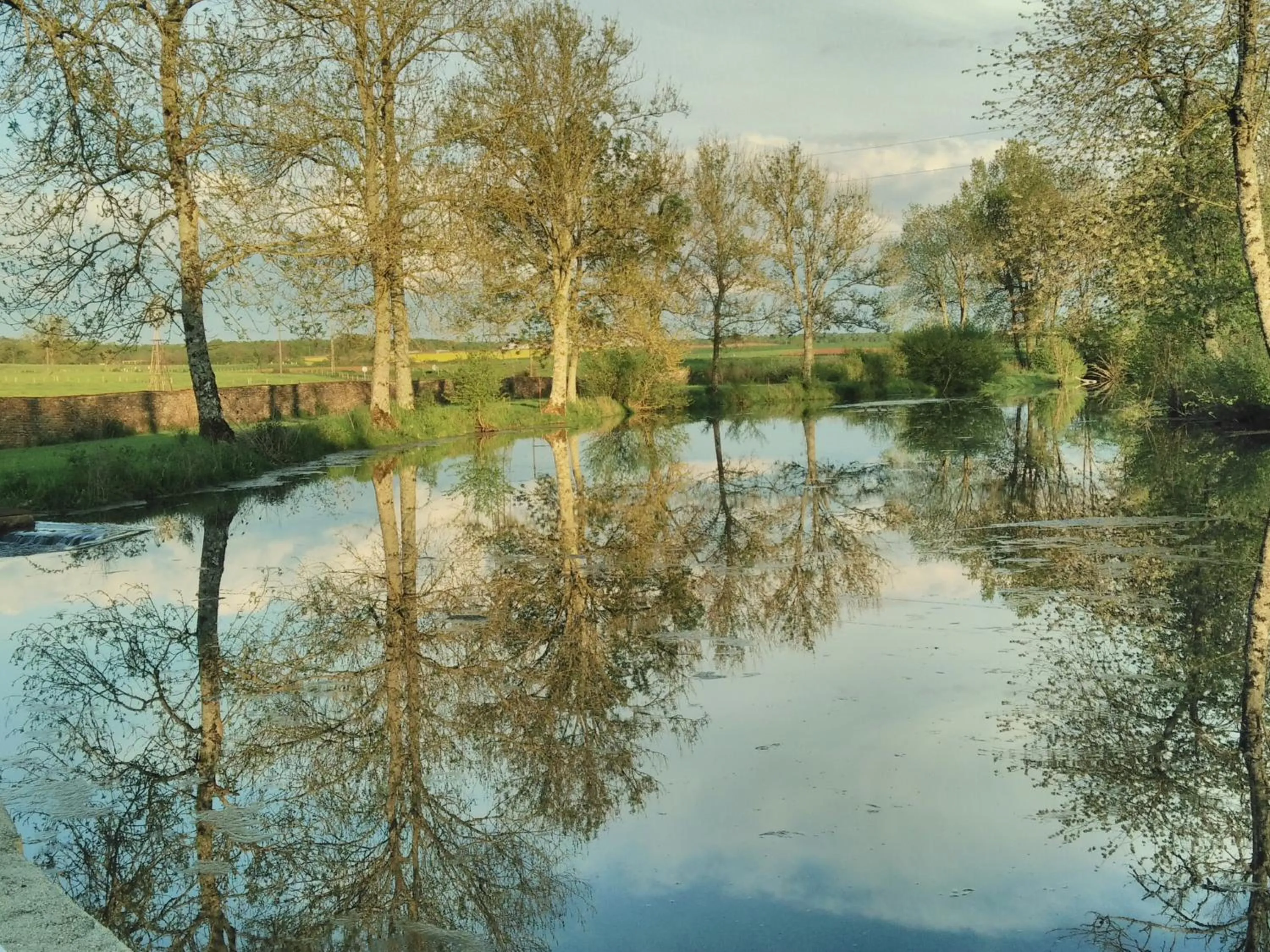 Garden in Moulin de la Fleuristerie