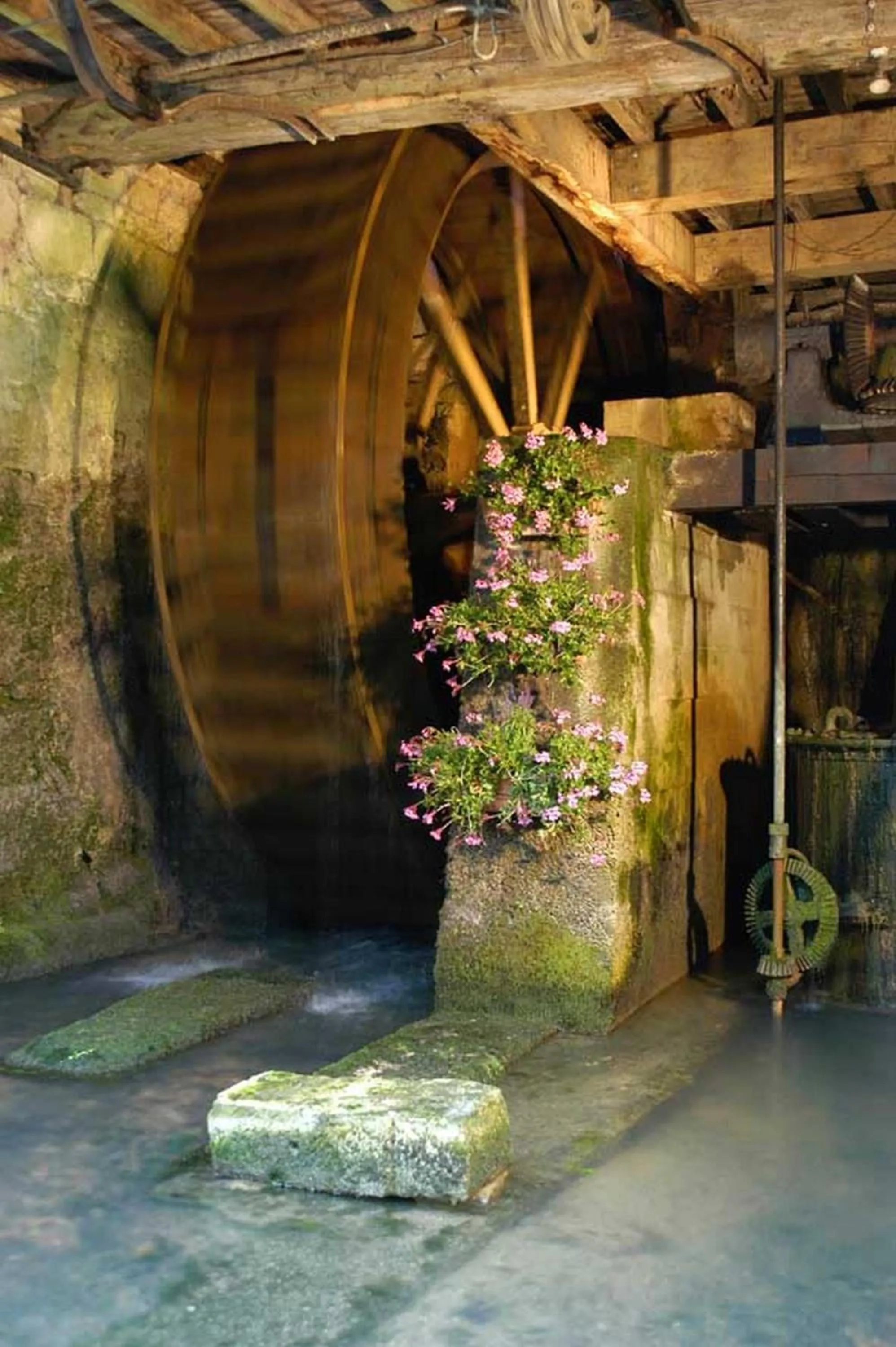 Garden view in Moulin de la Fleuristerie