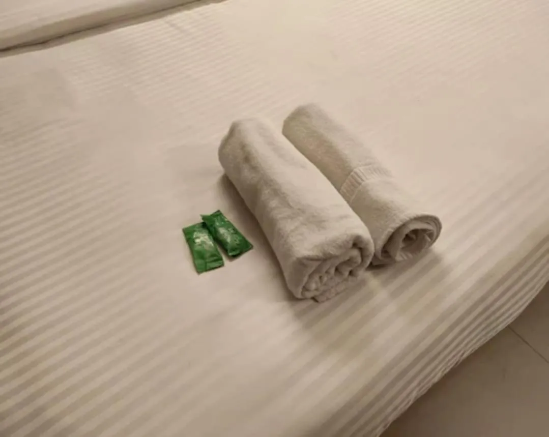 Hotel R S Residency