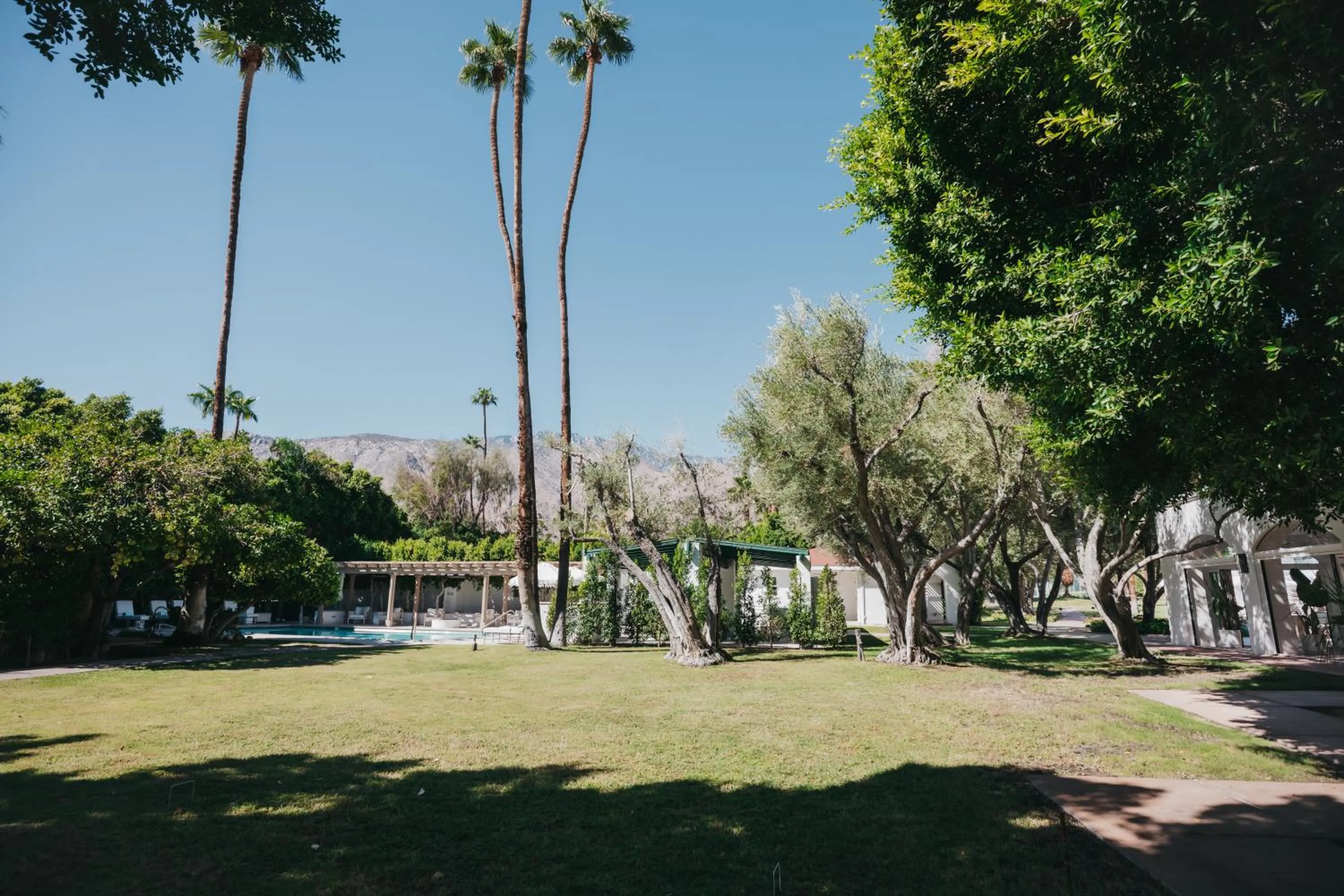 Garden view in Casa Palma Hotel & Bungalows