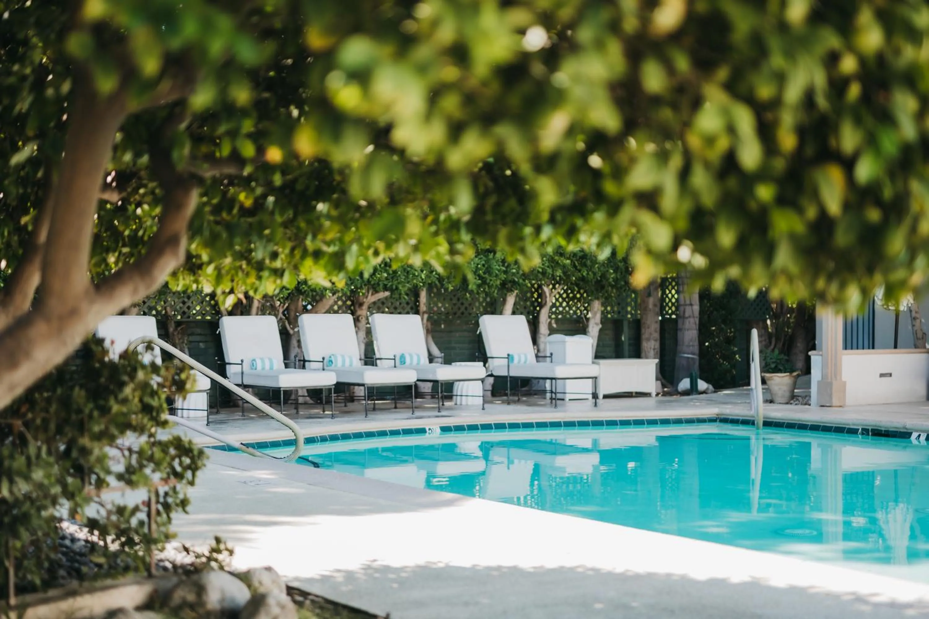 Pool view in Casa Palma Hotel & Bungalows