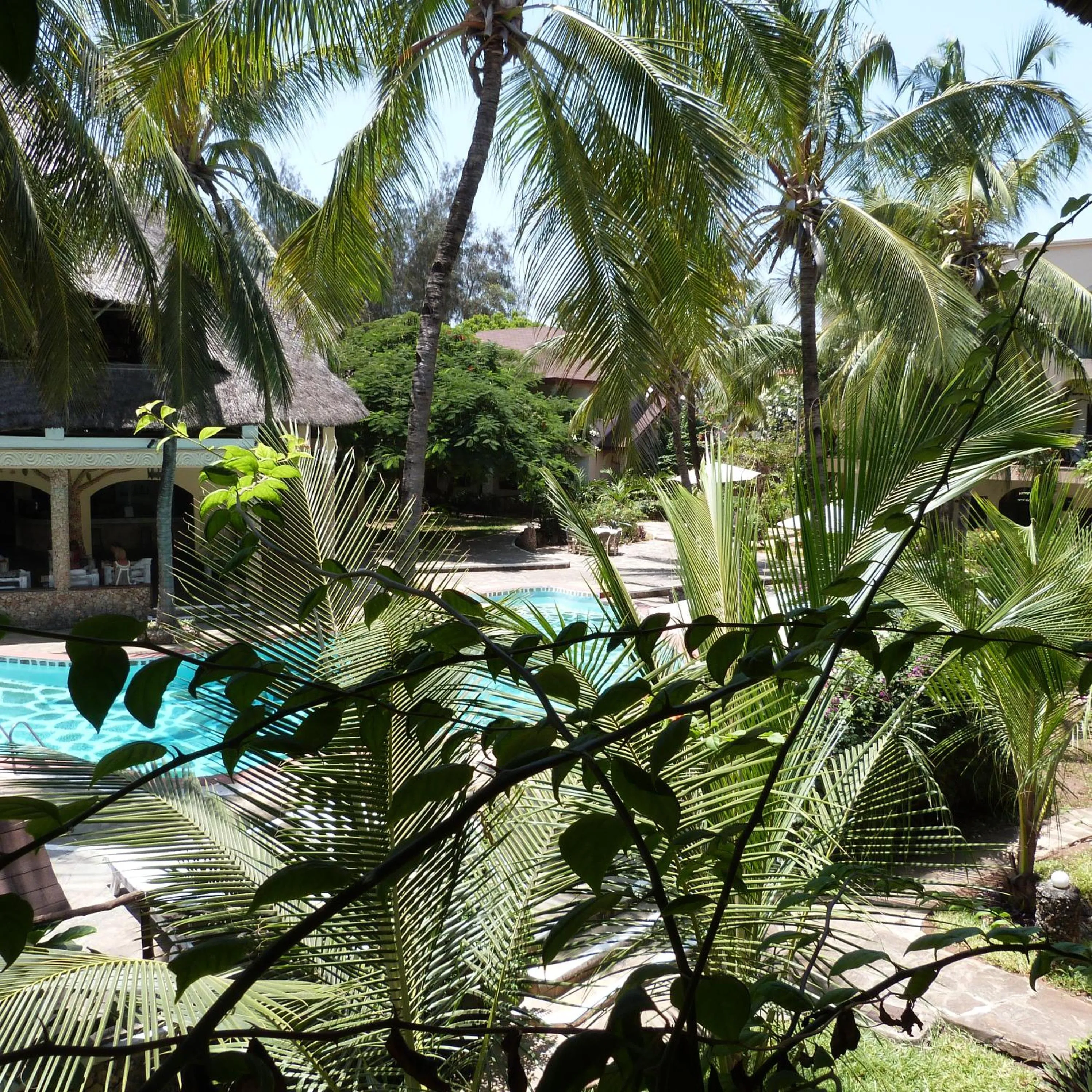 Pool view in Aquarius Club