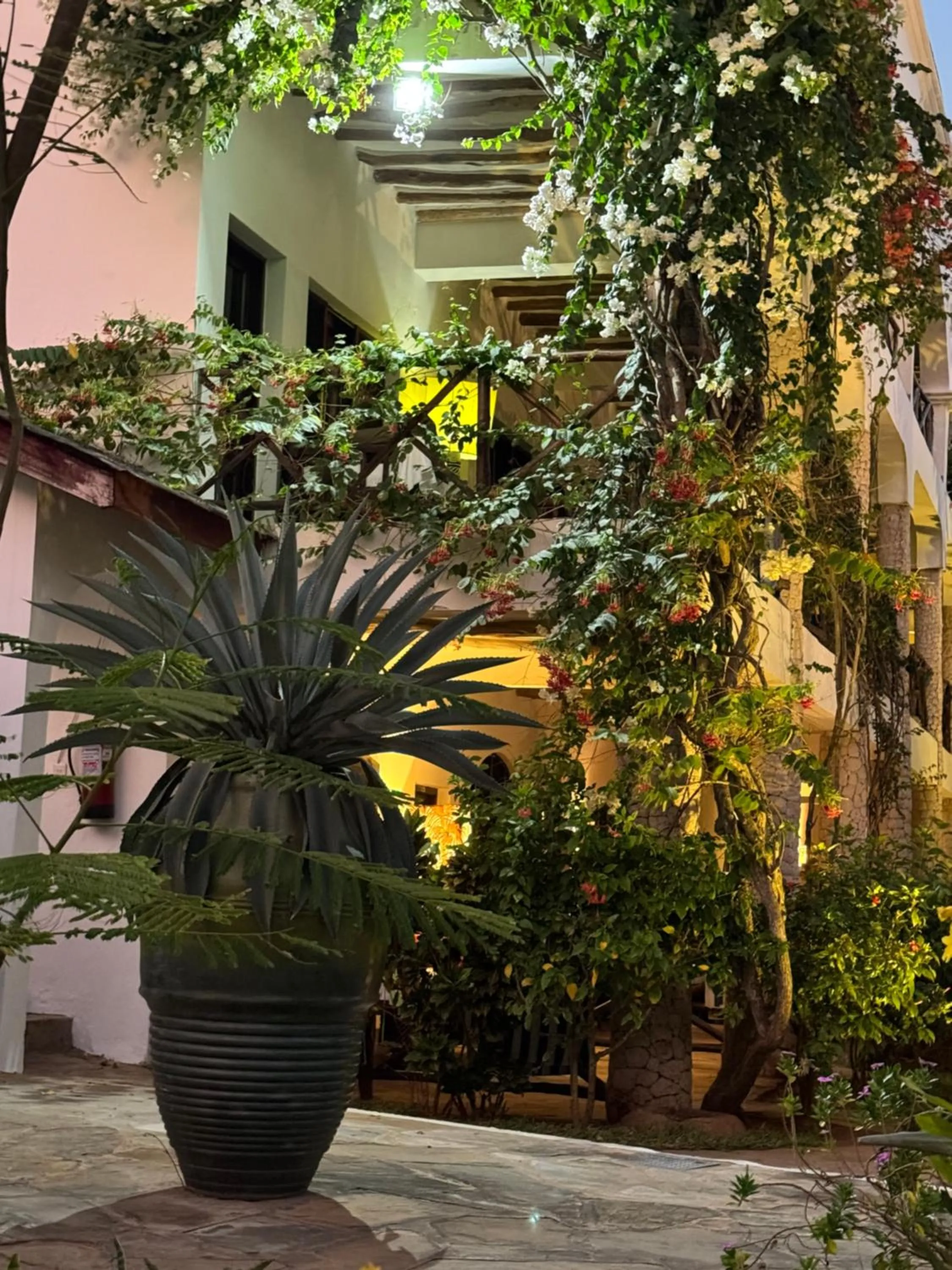 Garden in Aquarius Club