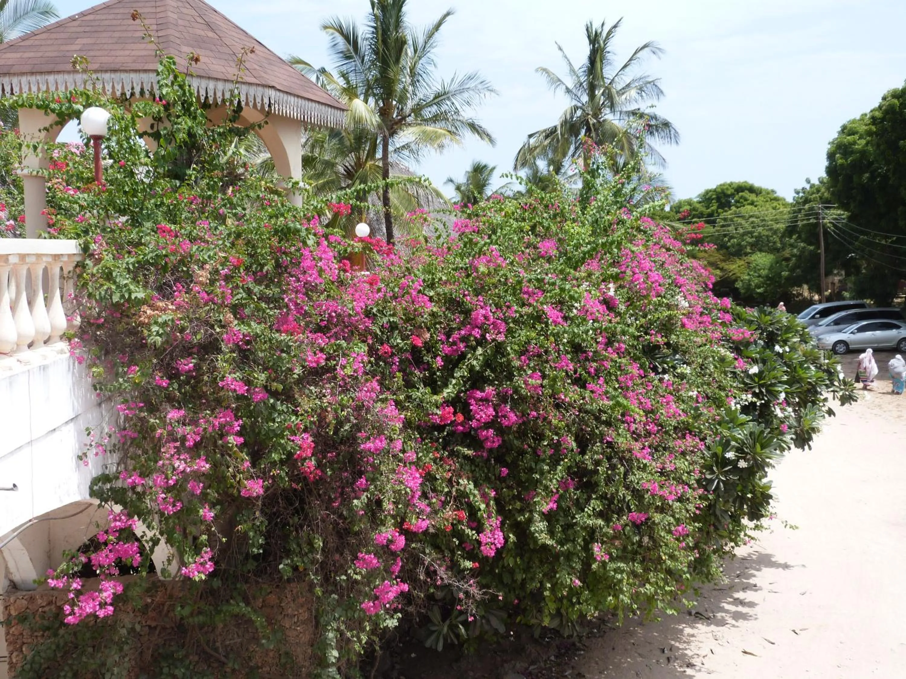 View (from property/room) in Aquarius Club