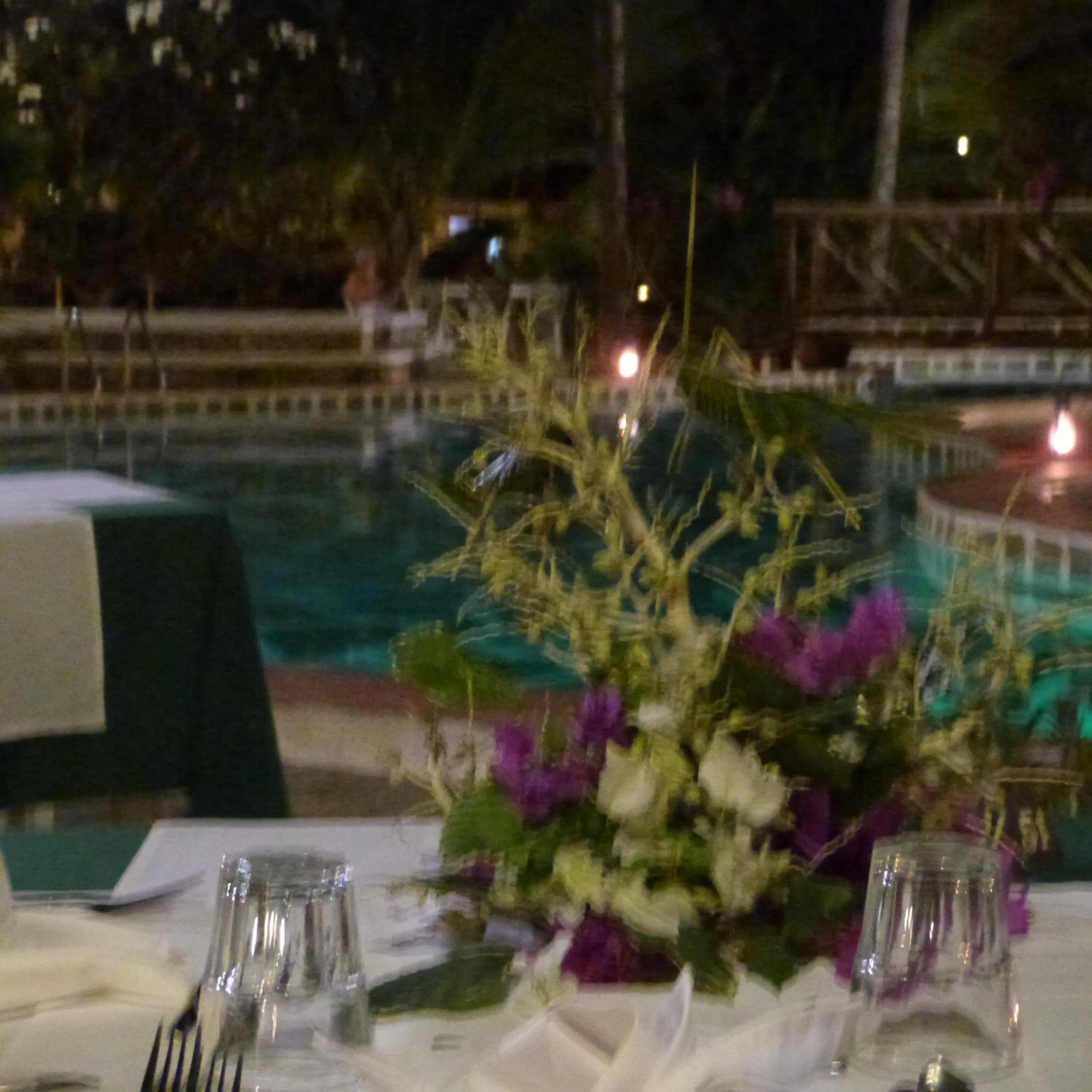 Food and drinks in Aquarius Club