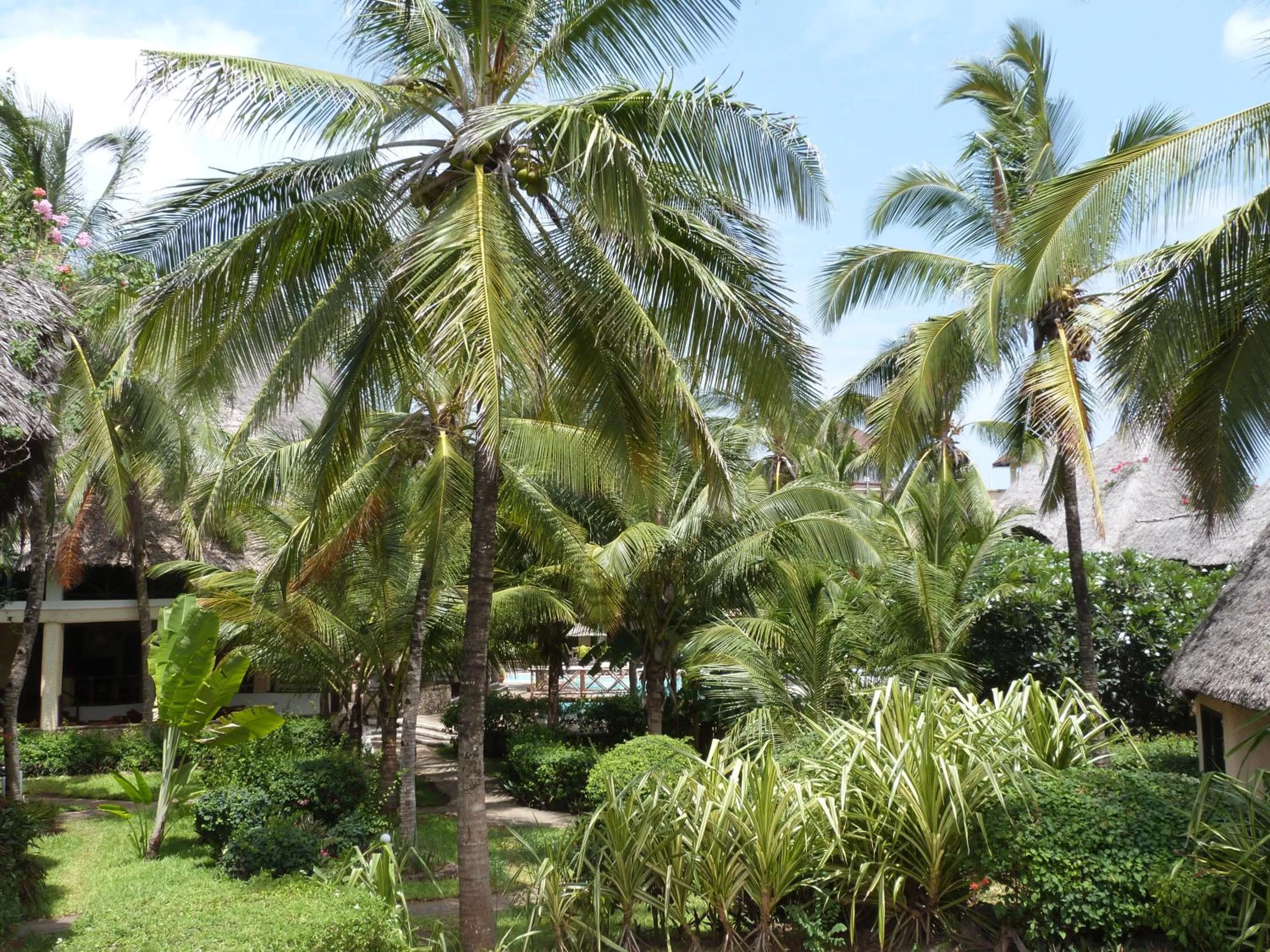 Street view in Aquarius Club