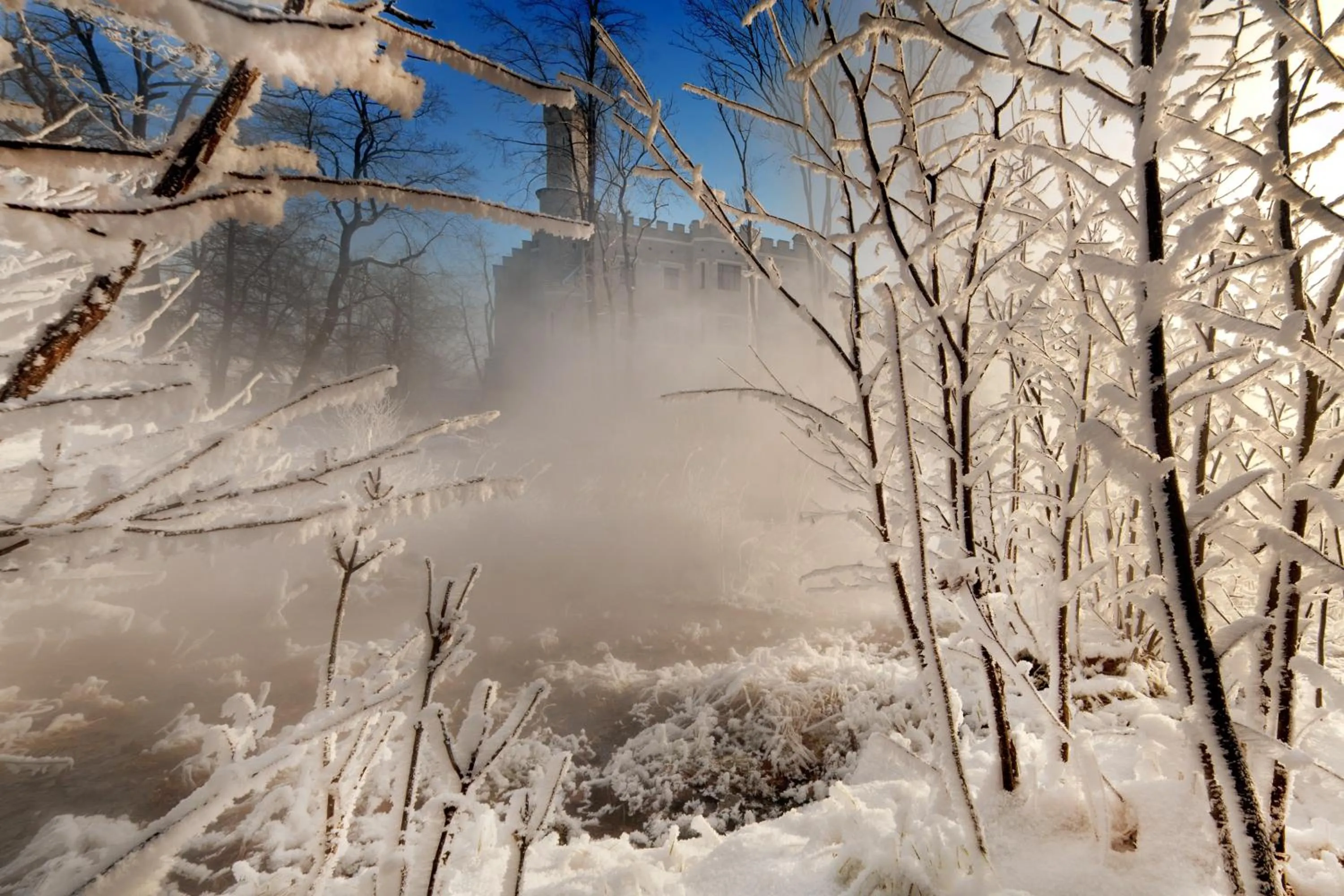 Neighbourhood in Zamek Karpniki Schloss Fischbach