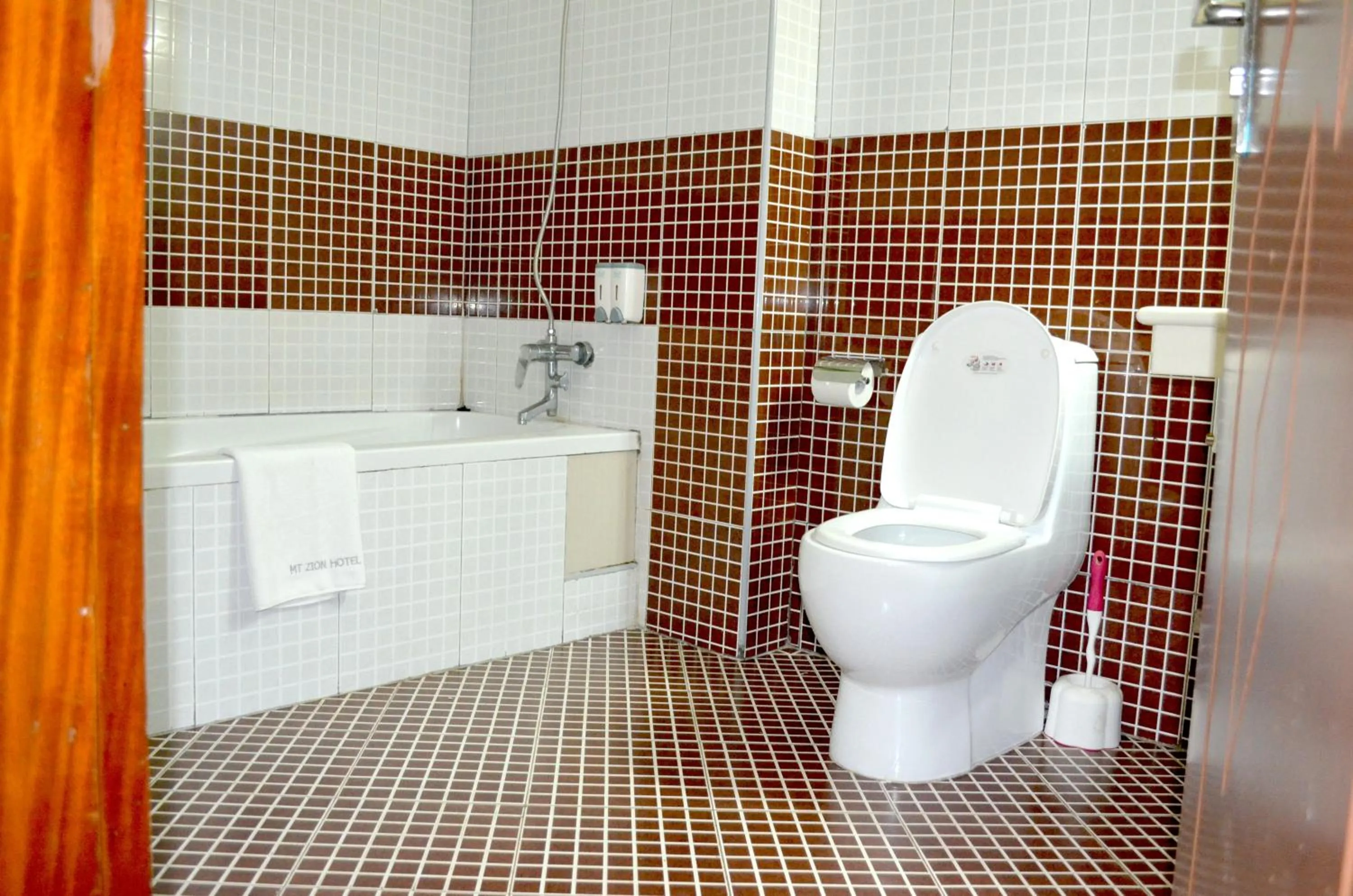 Toilet in Mt. Zion Hotel