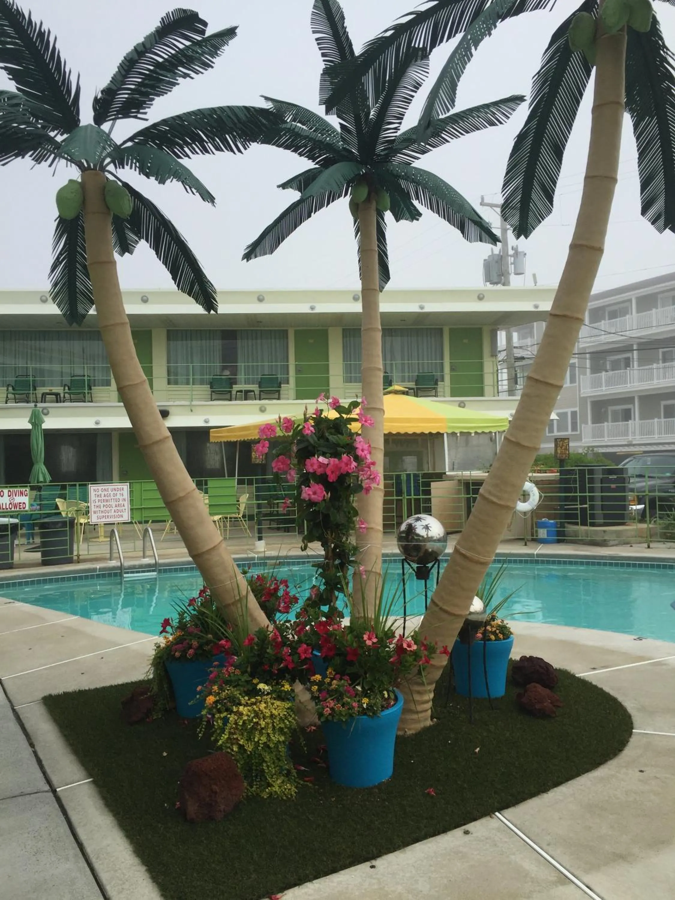 Garden in Caribbean Motel
