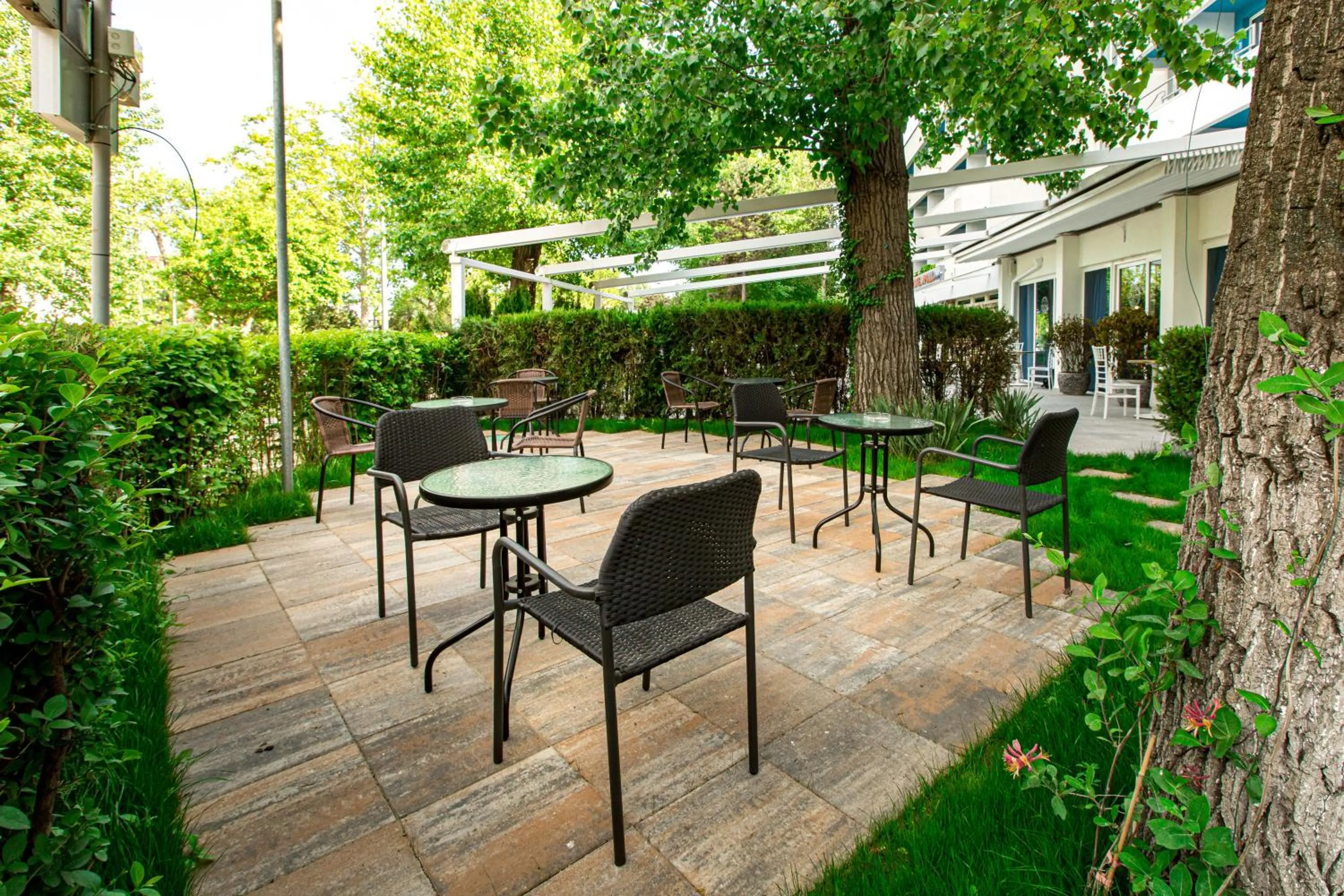 Restaurant/places to eat in Hotel Apollo