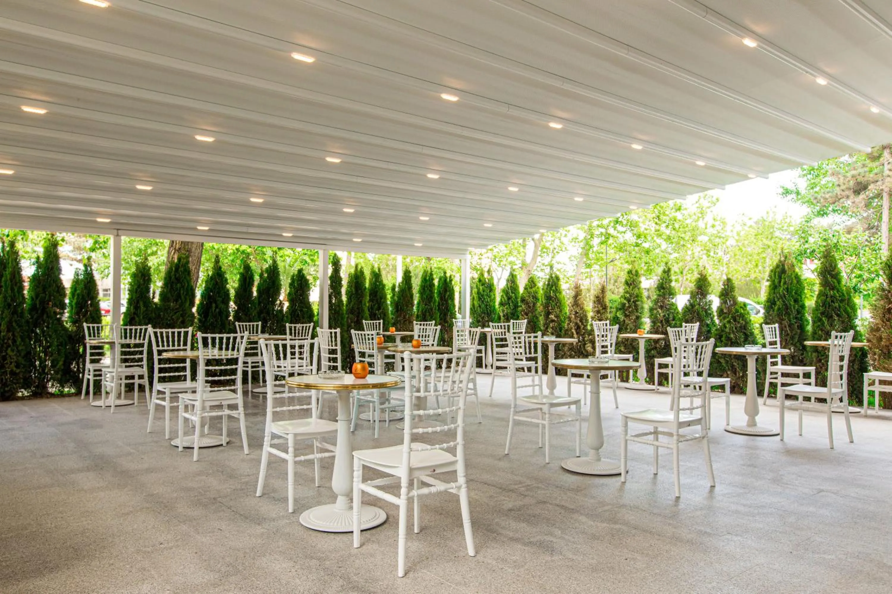 Restaurant/places to eat in Hotel Apollo