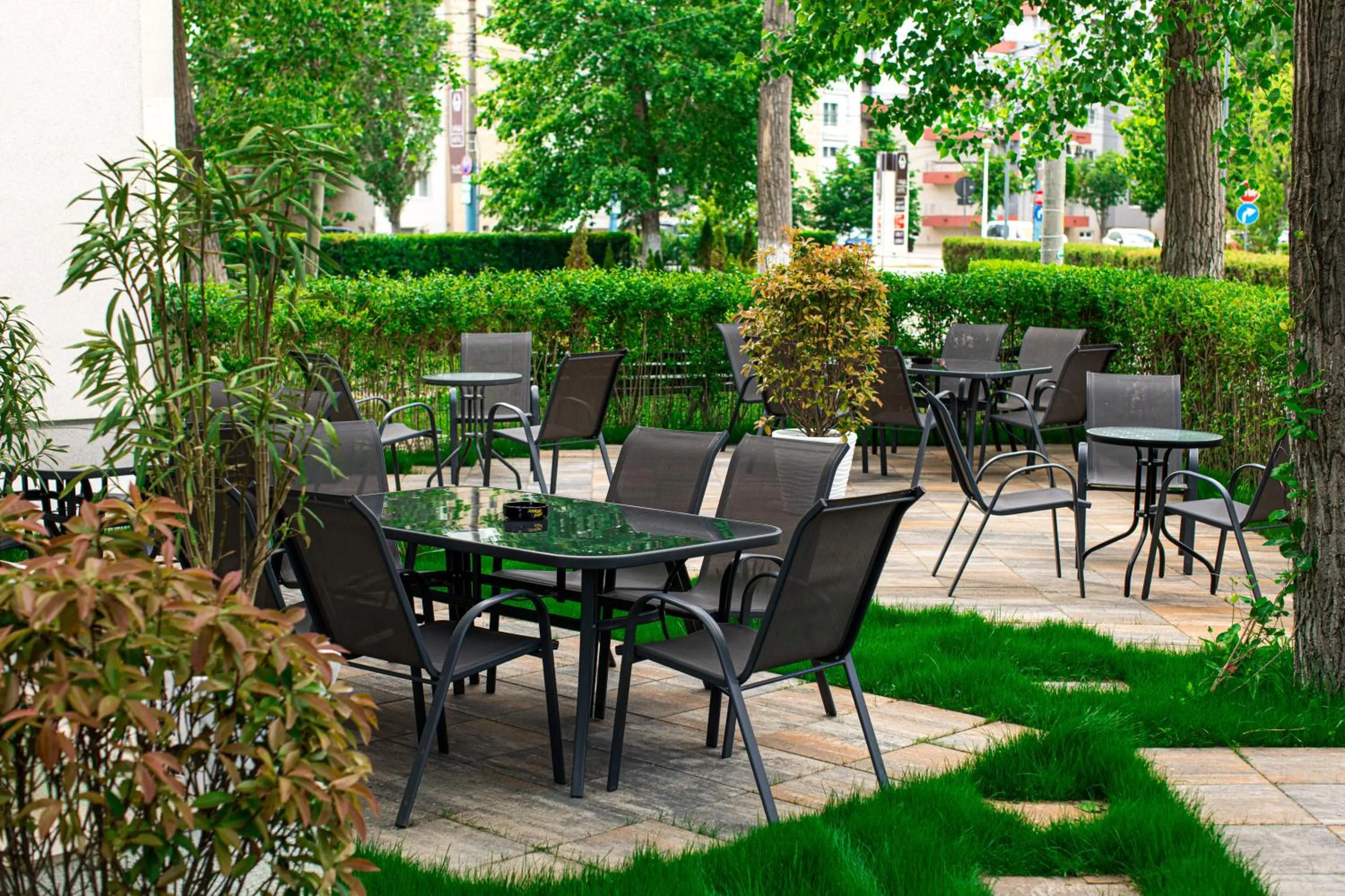 Restaurant/places to eat in Hotel Apollo