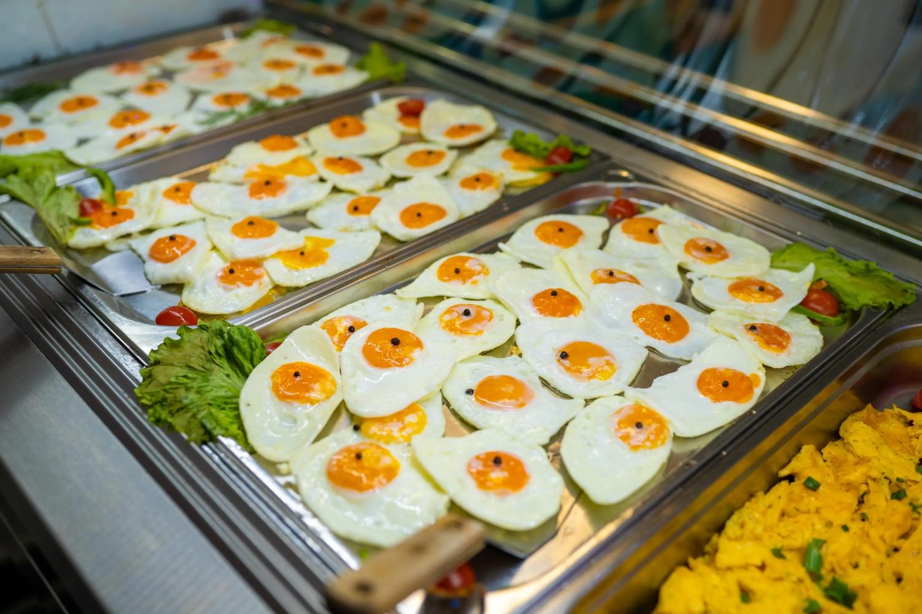 Restaurant/places to eat in Hotel Apollo