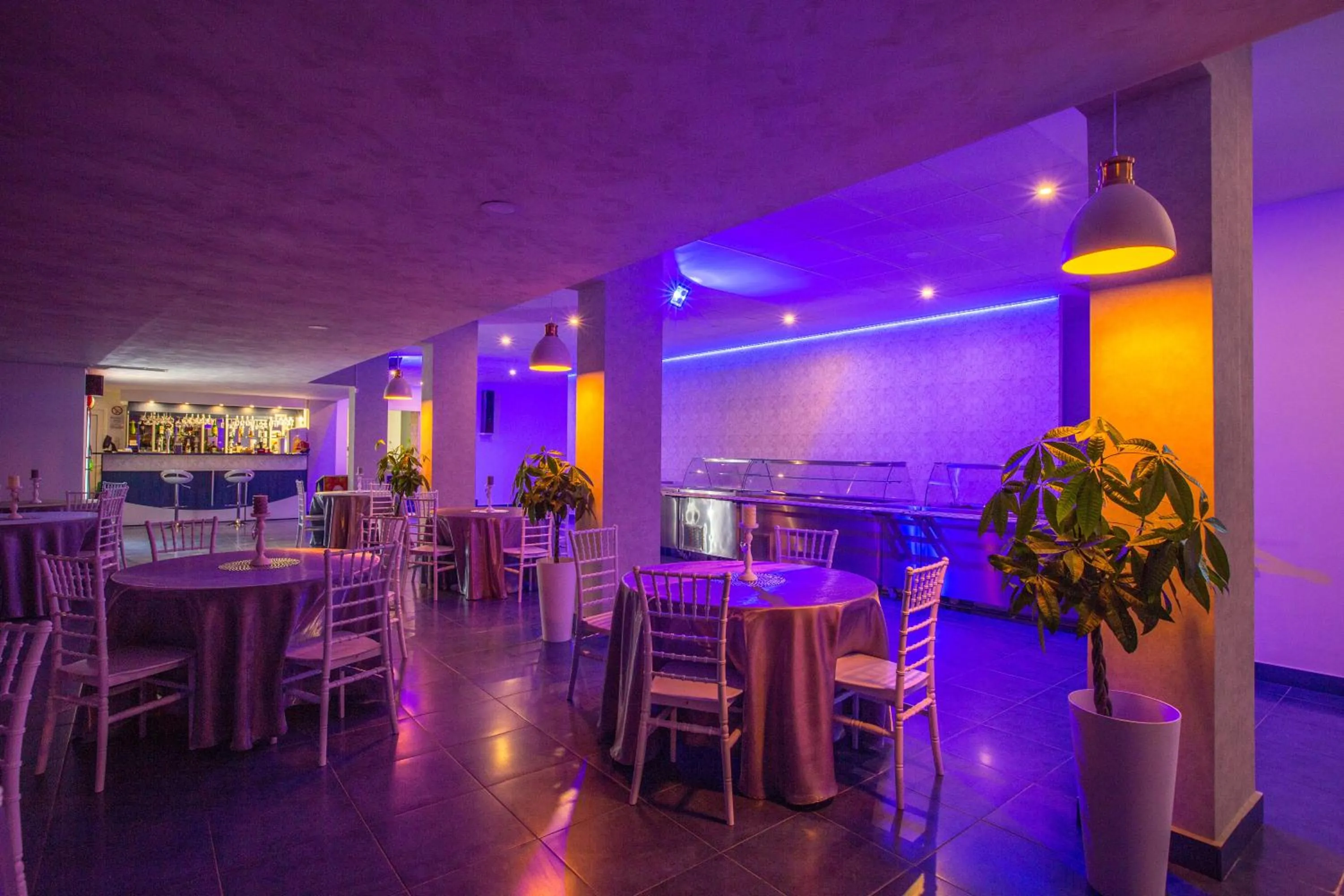 Restaurant/places to eat in Hotel Apollo