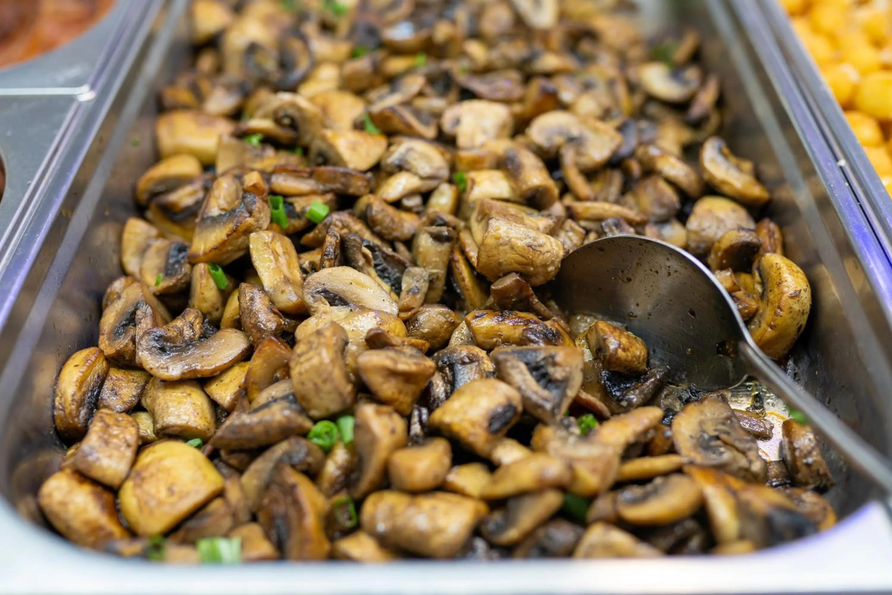 Restaurant/places to eat in Hotel Apollo