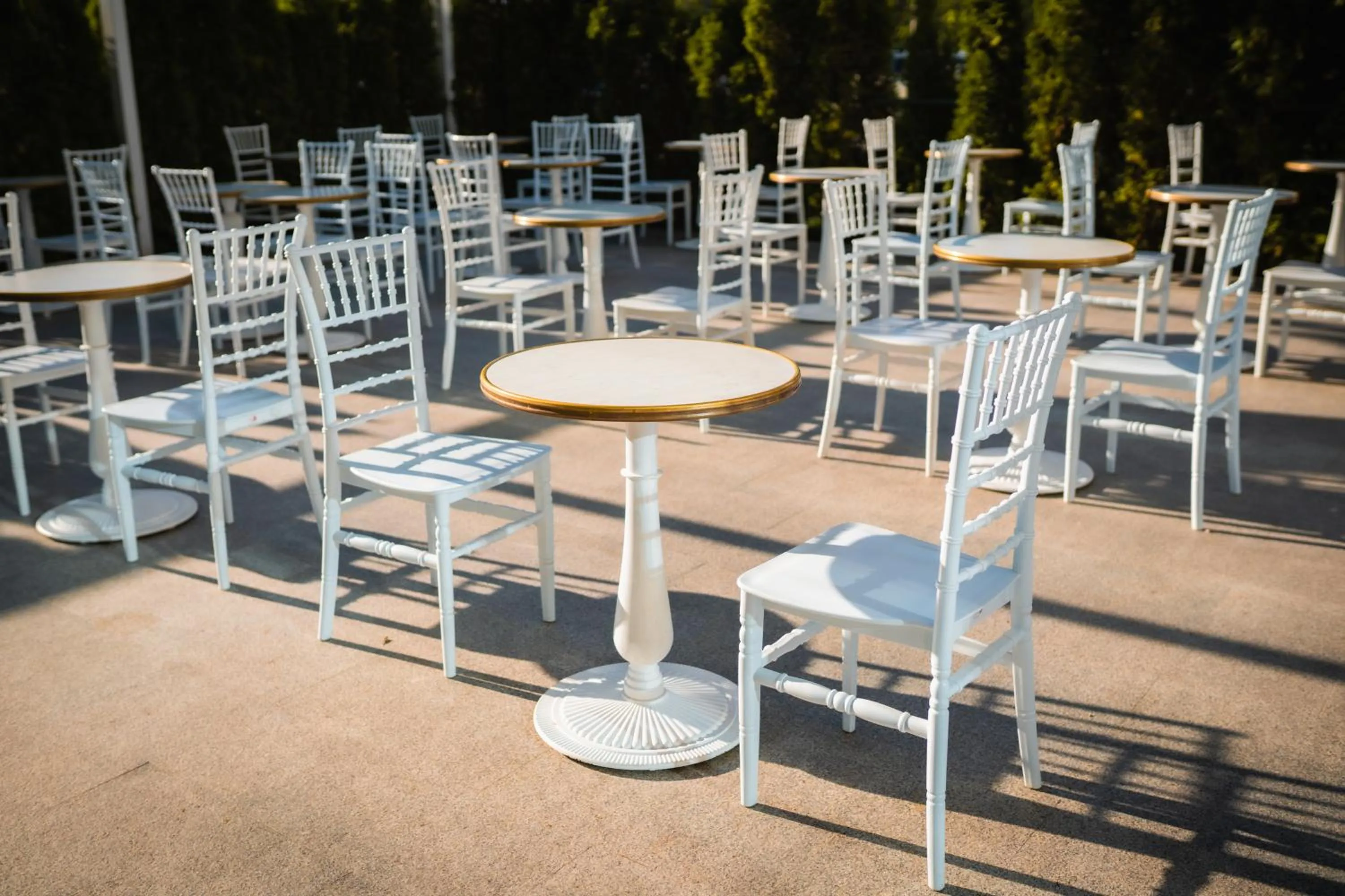 Restaurant/places to eat in Hotel Apollo