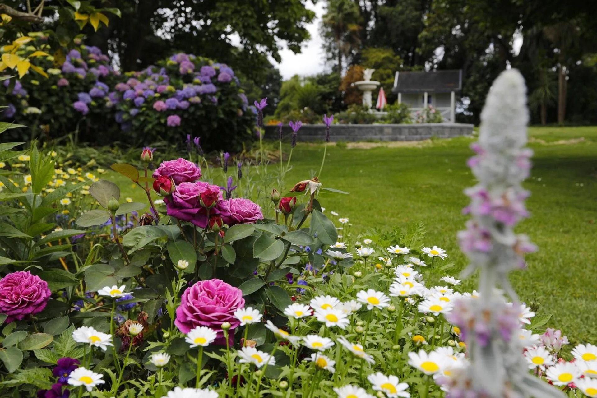 Garden in Villa Walton